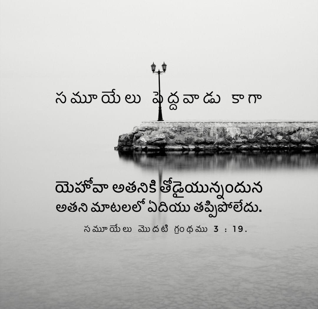 1 Samuel 3:19