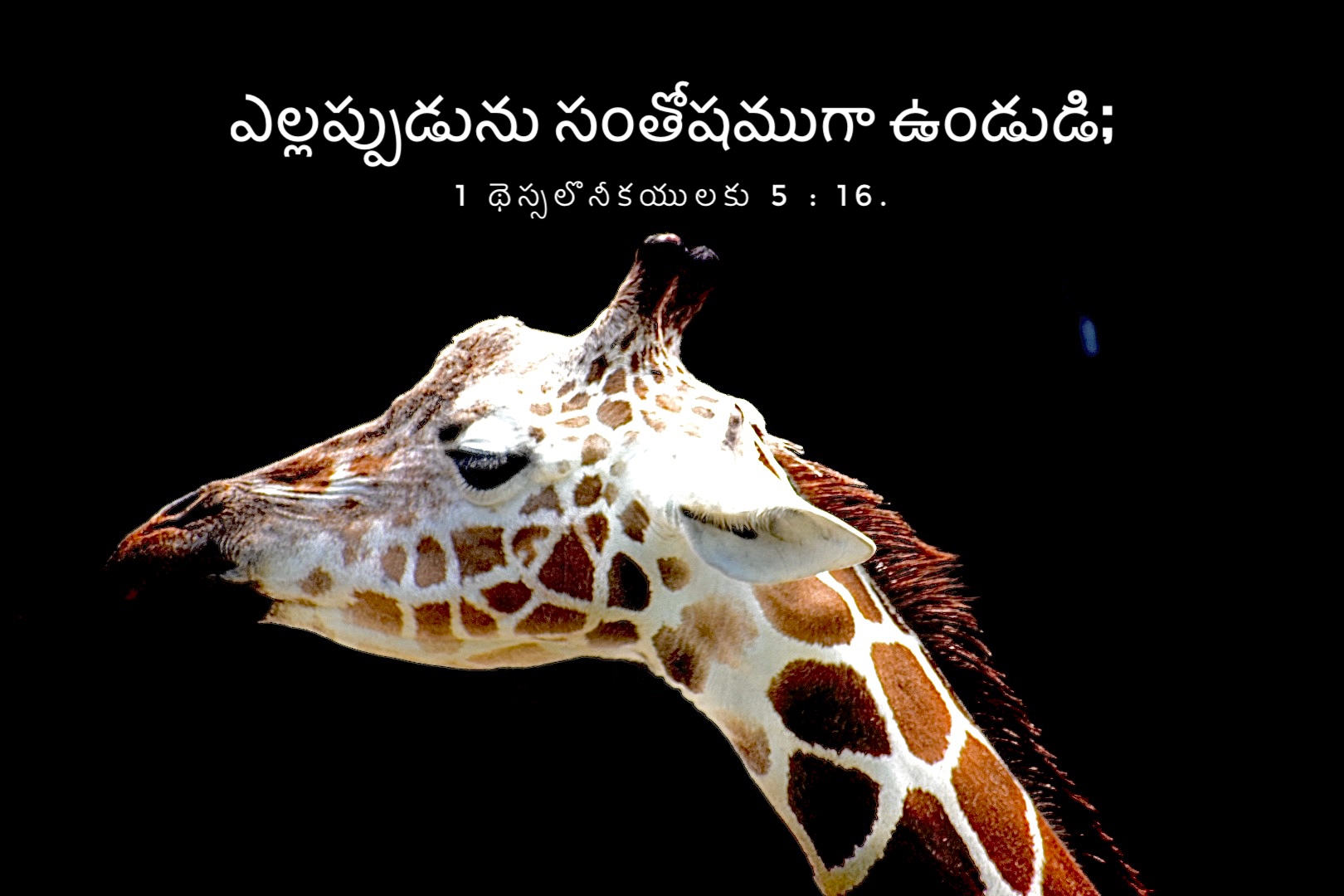 1 Thessalonians 5:16