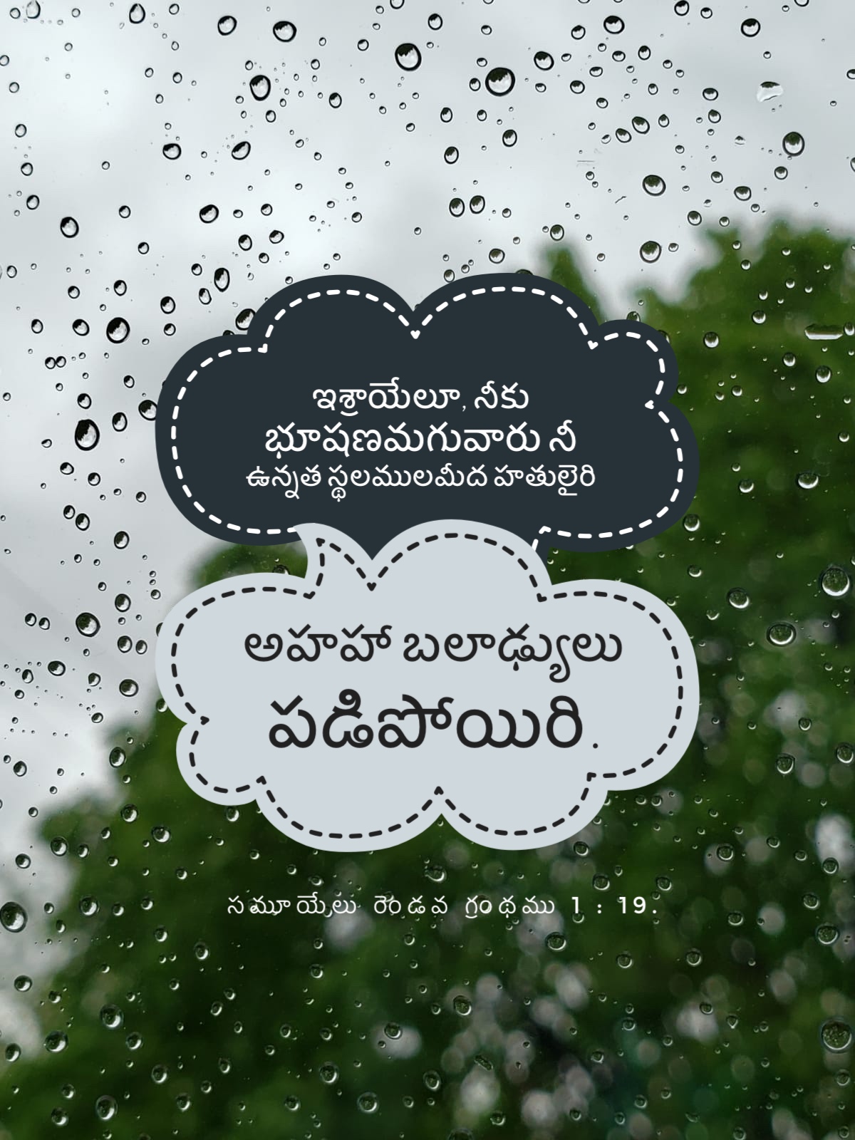 2 Samuel 1:19