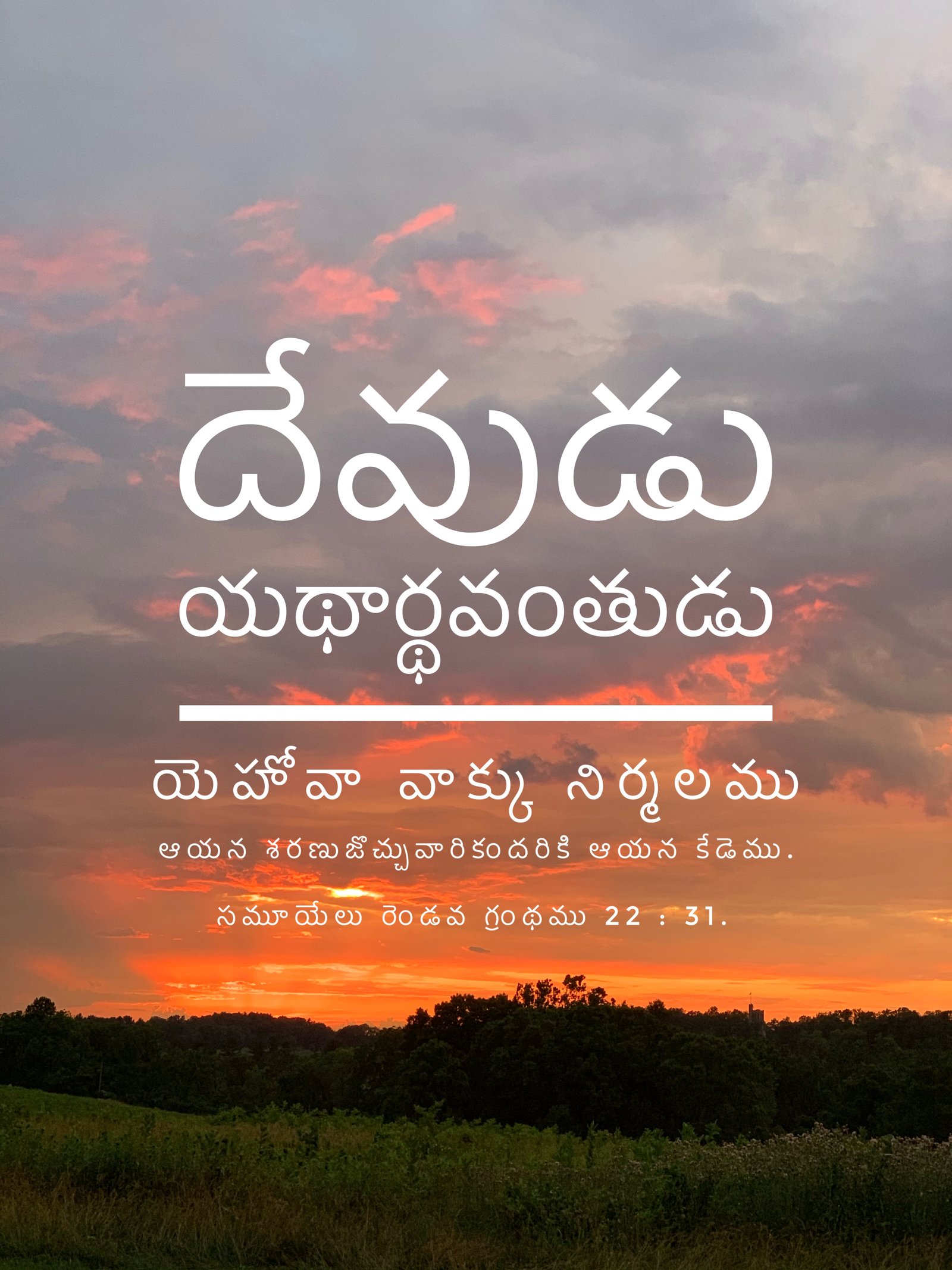2 Samuel 22:31
