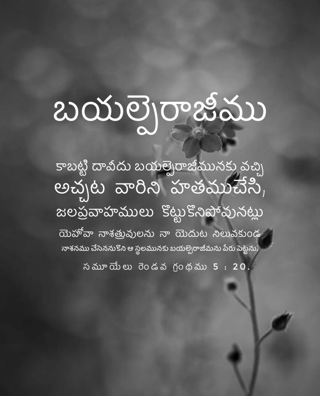 2 Samuel 5:20
