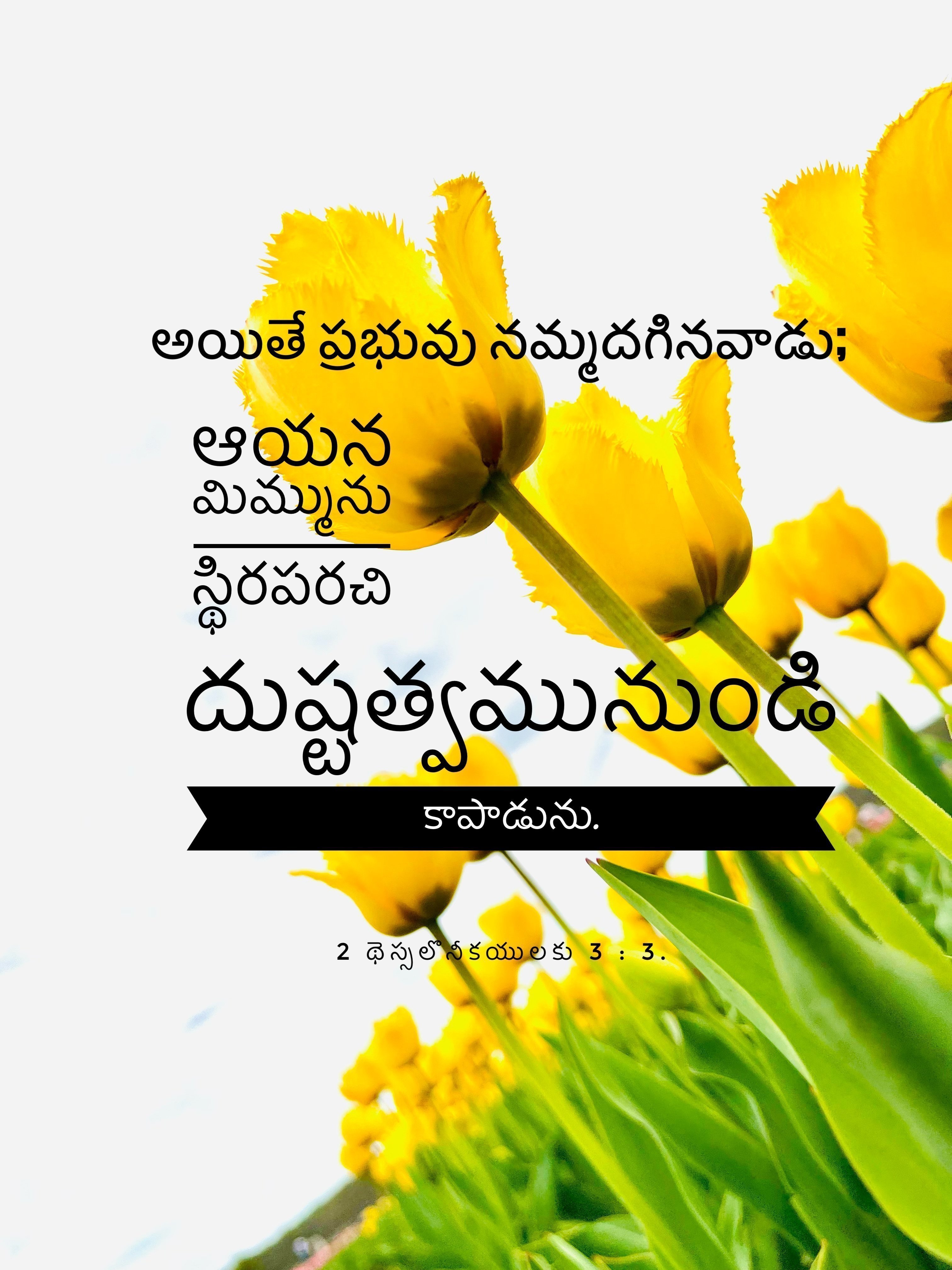 2 Thessalonians 3:3