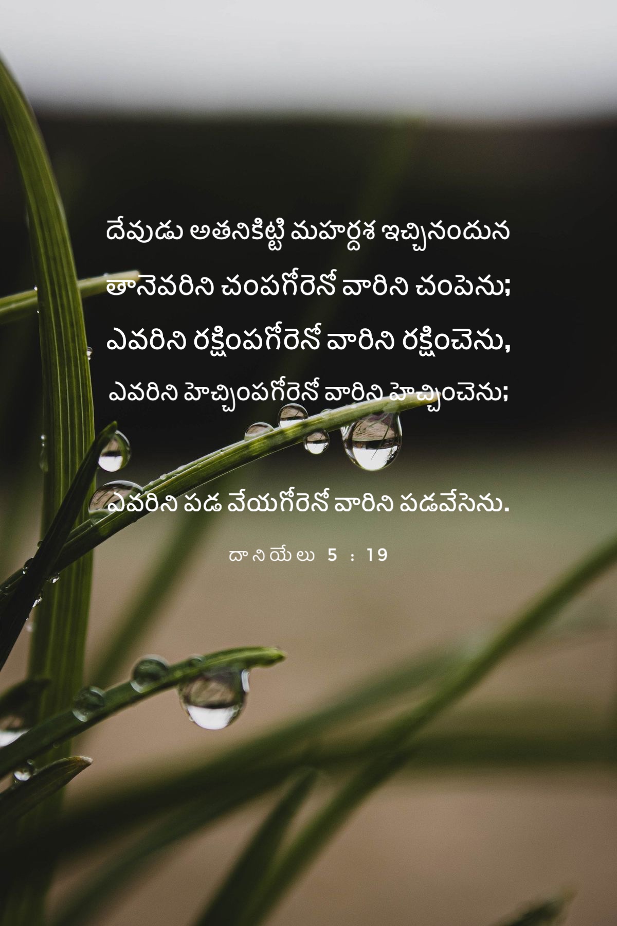 Daniel 5:19