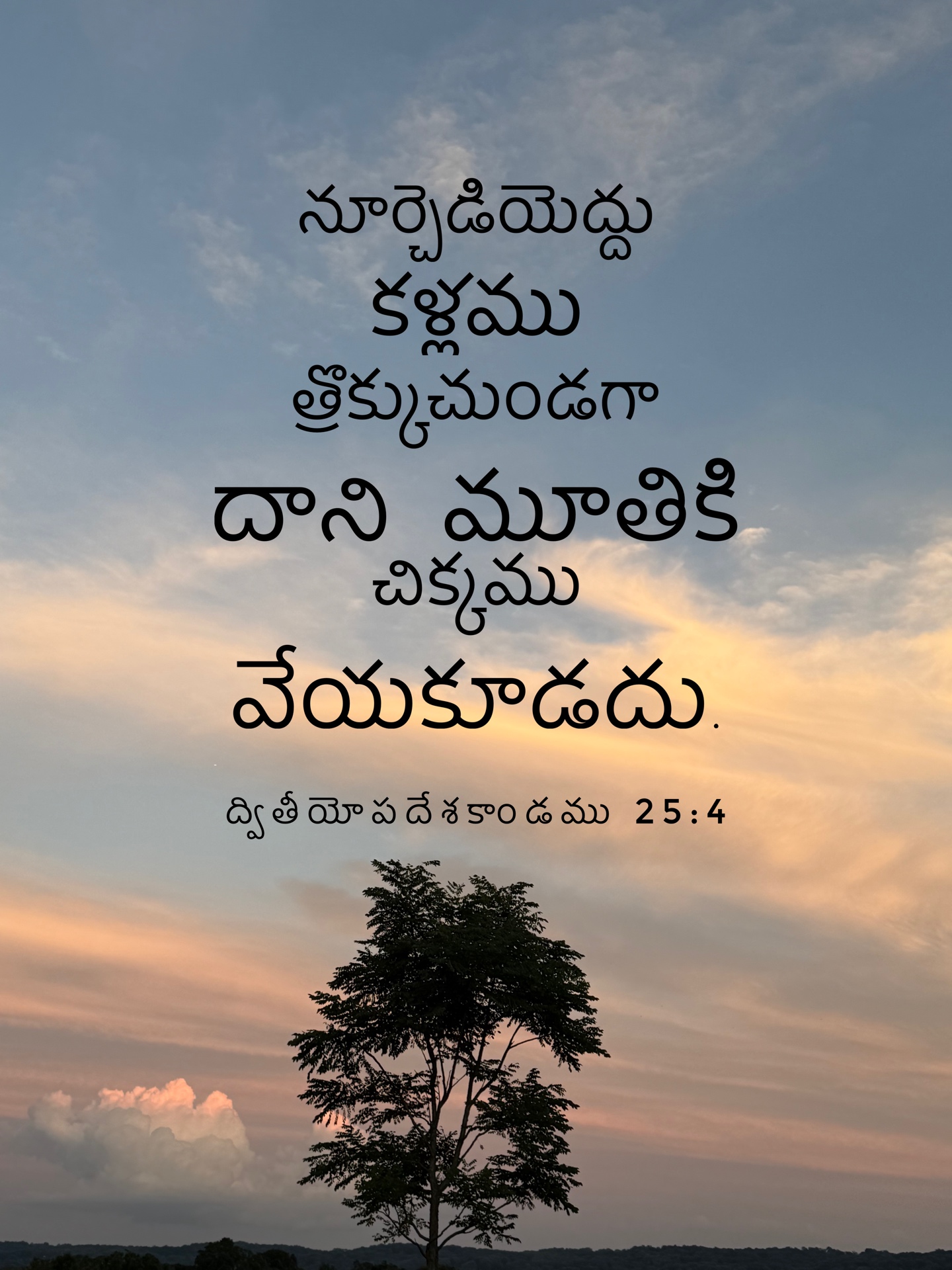 Deuteronomy 25:4 - నూర్పిడి చేయుచున్న ఎద్దు నోరు కట్టకూడదు.