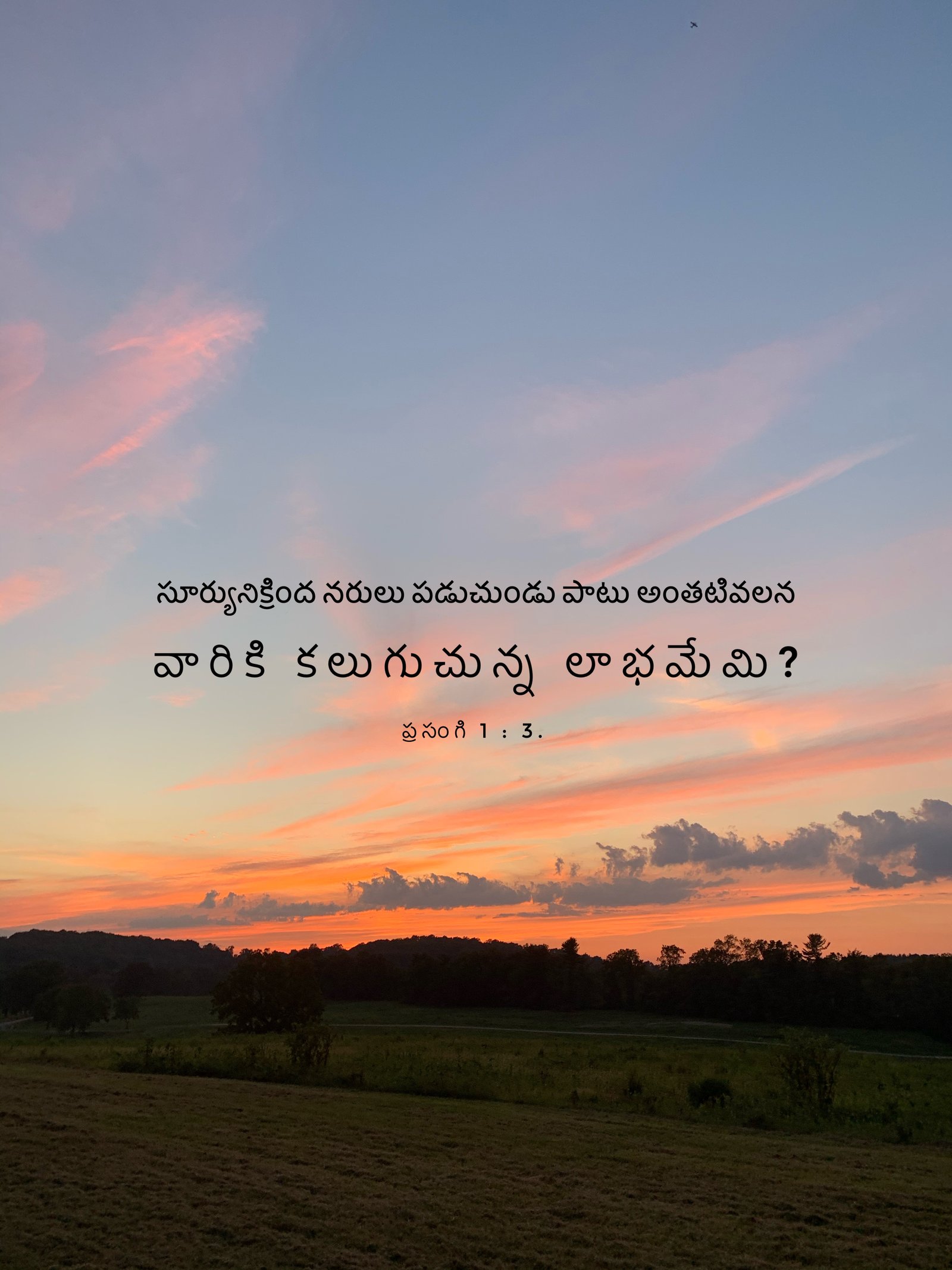 Ecclesiastes 1:3
