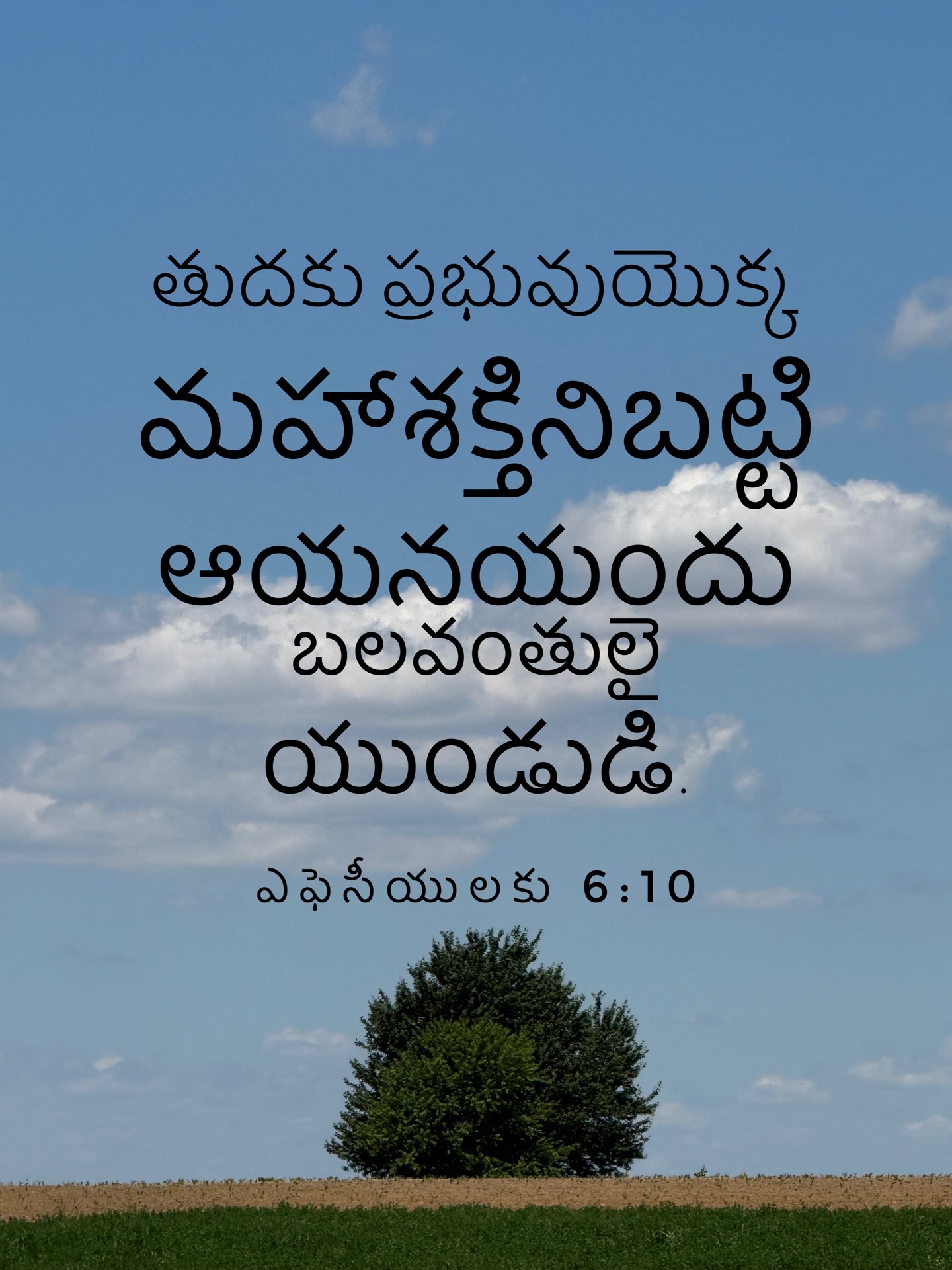 Ephesians 6:10 - తుదకు ప్రభువుయొక్క మహాశక్తినిబట్టి ఆయనయందు బలవంతులై యుండుడి