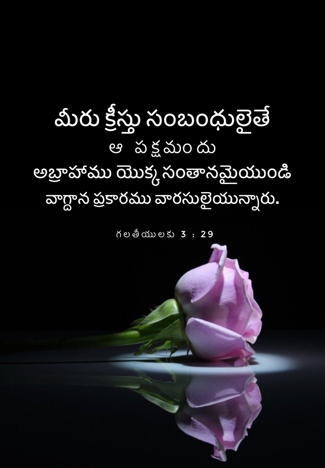 Galatians 3:29