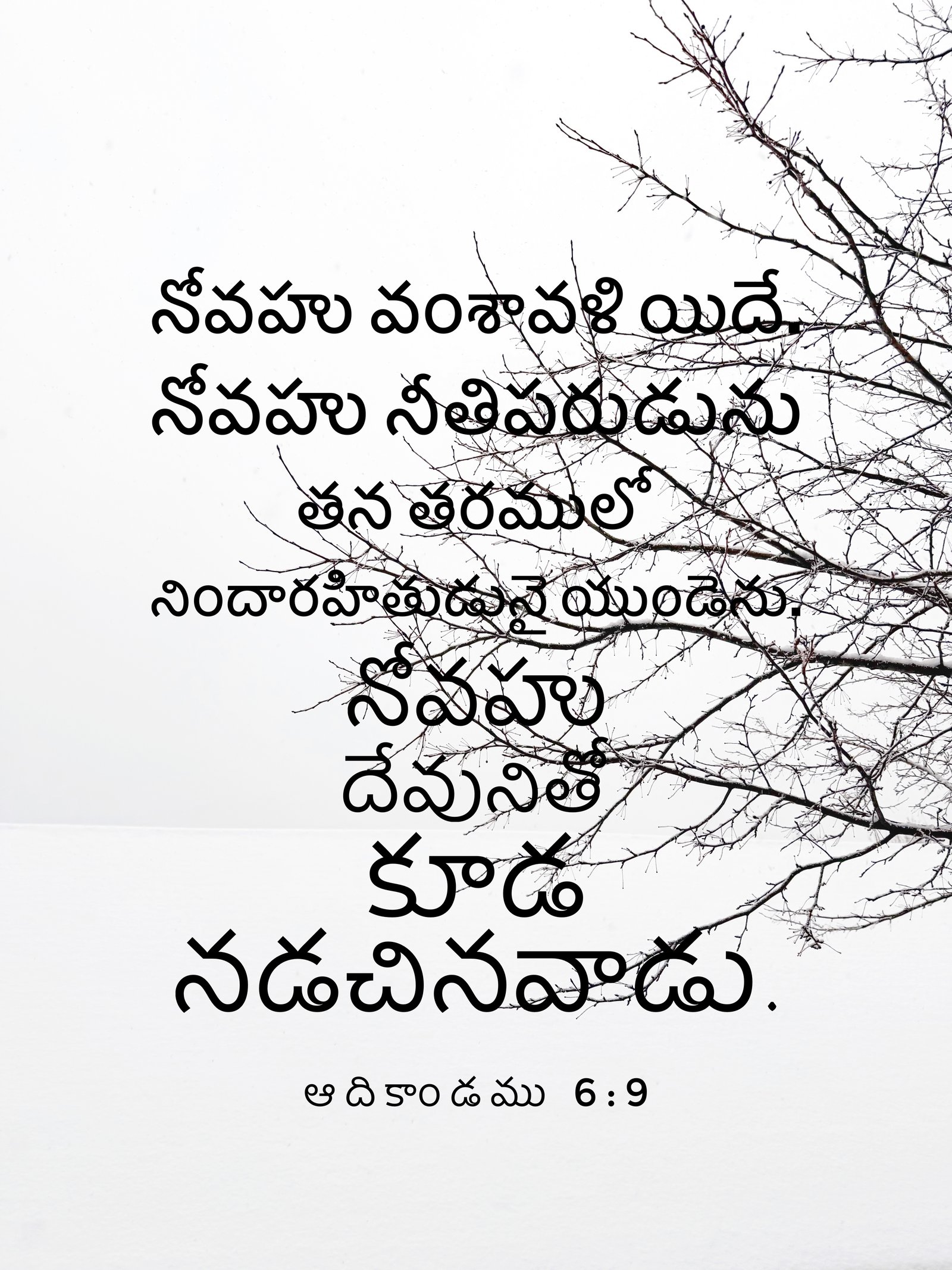 Genesis 6:9