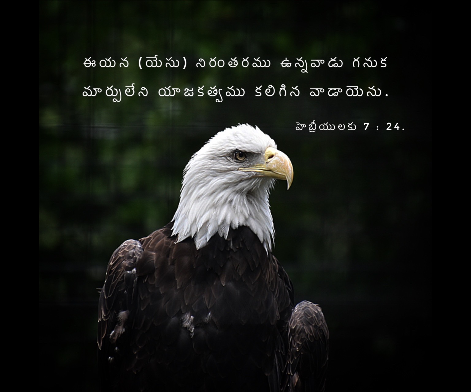 Hebrews 7:24