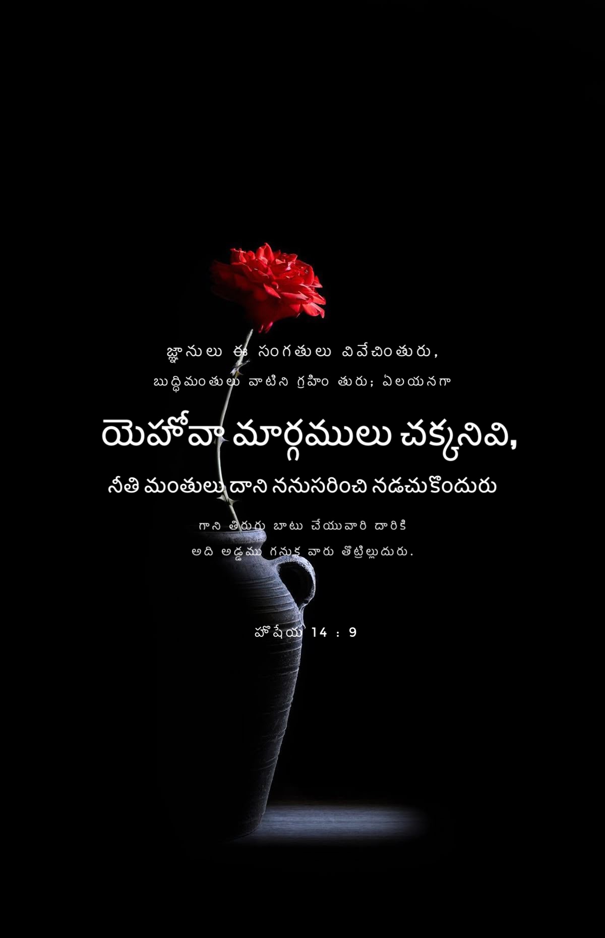 Hosea 14:9