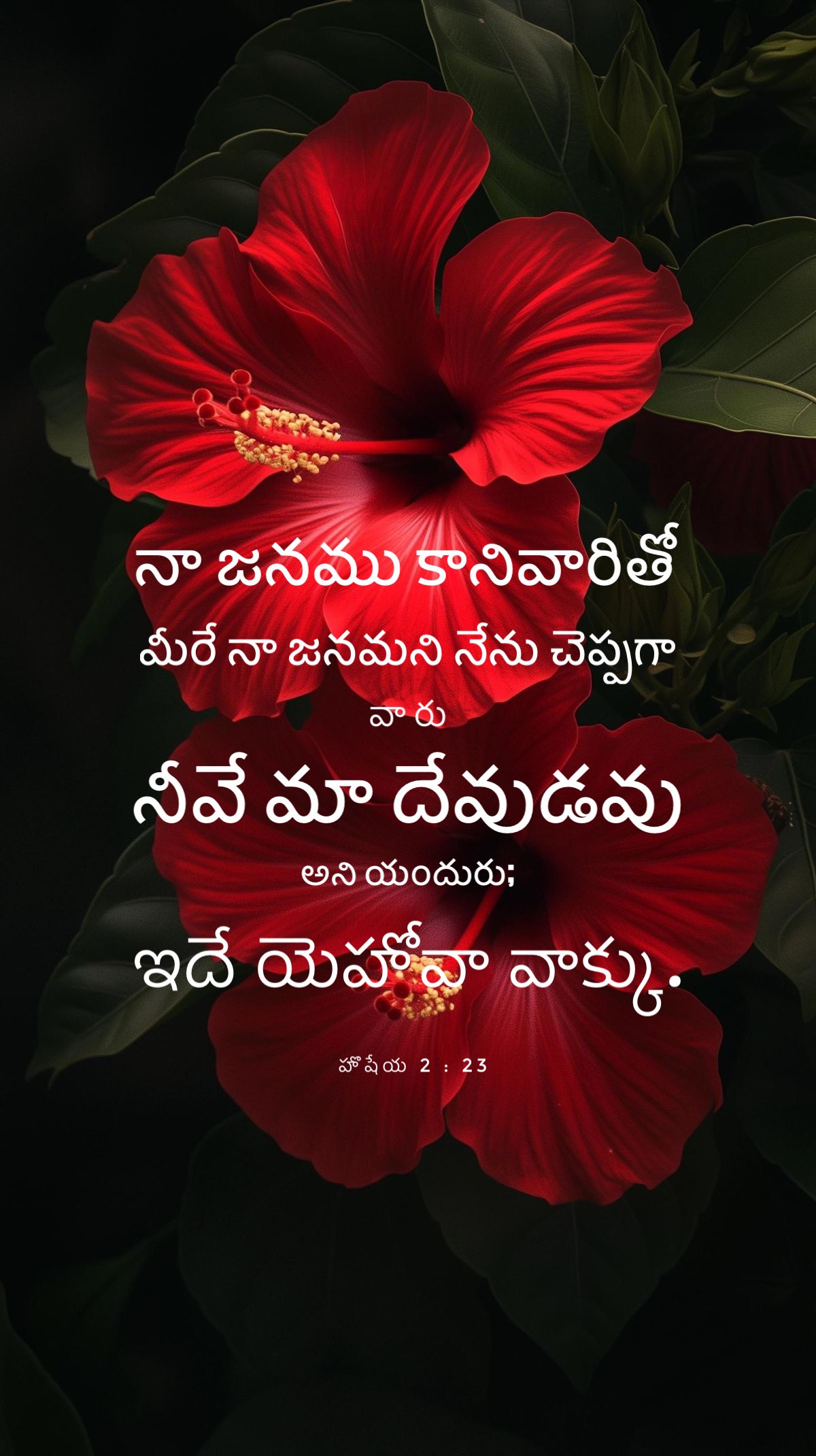 Hosea 2:23