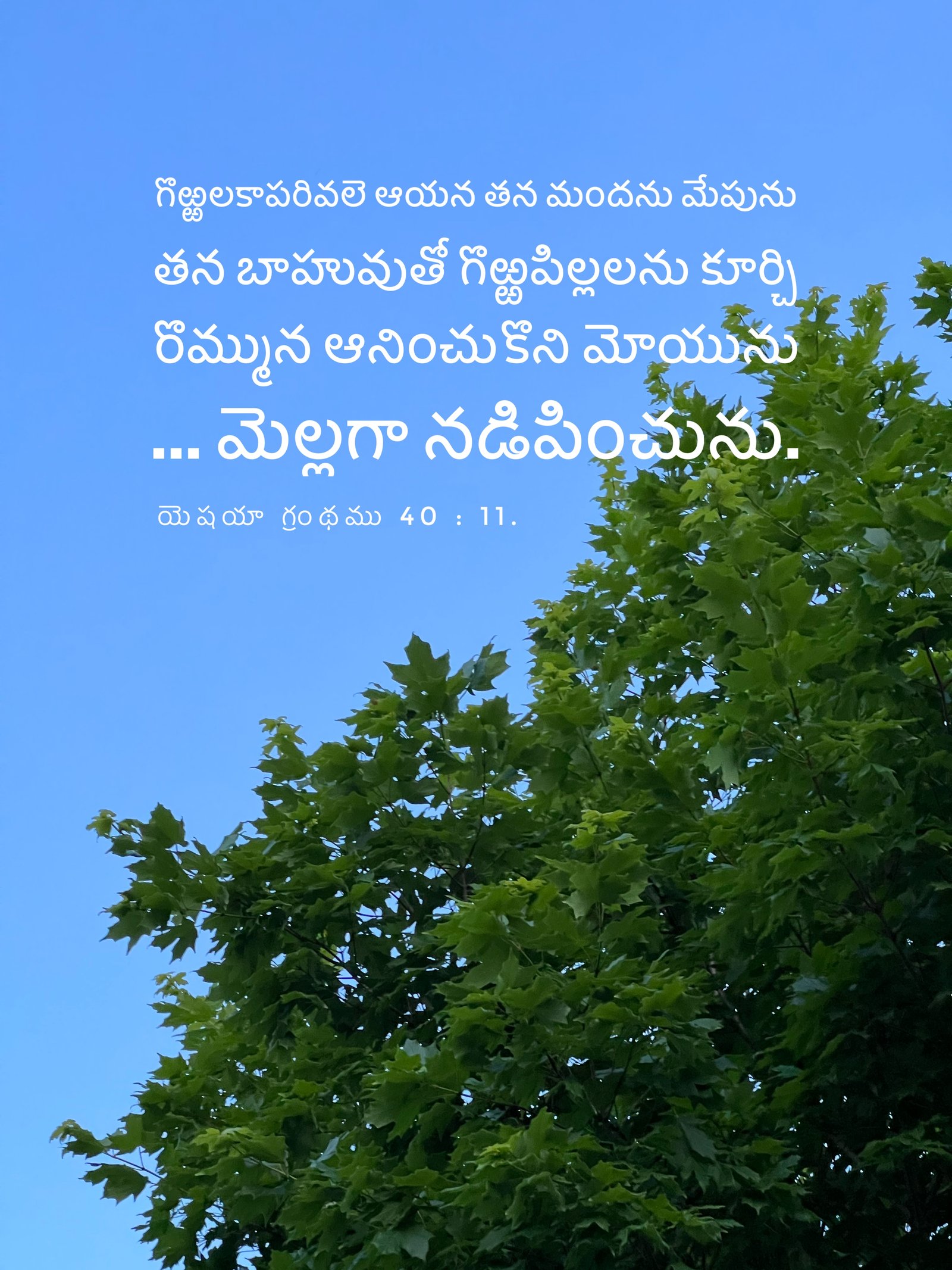 Isaiah 40:11