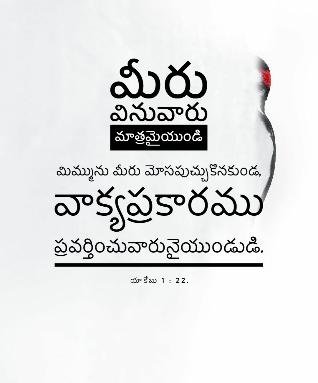 James 1:22