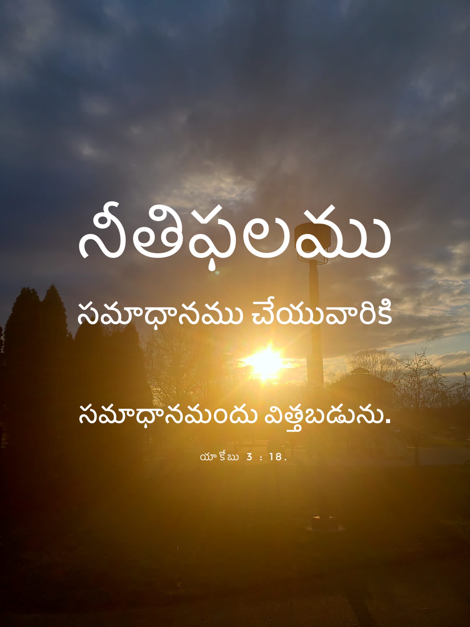James 3:18