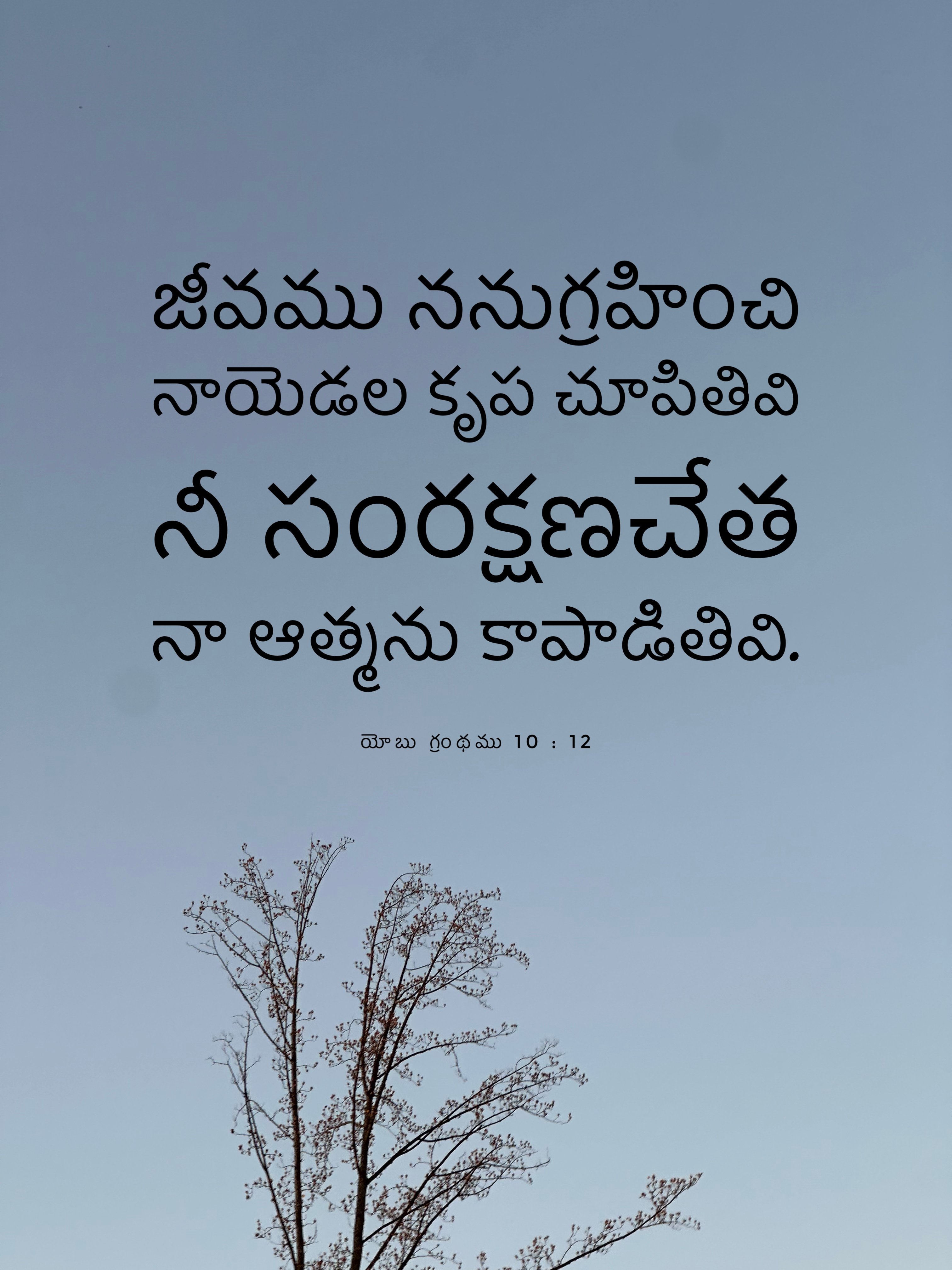 Job 10:12