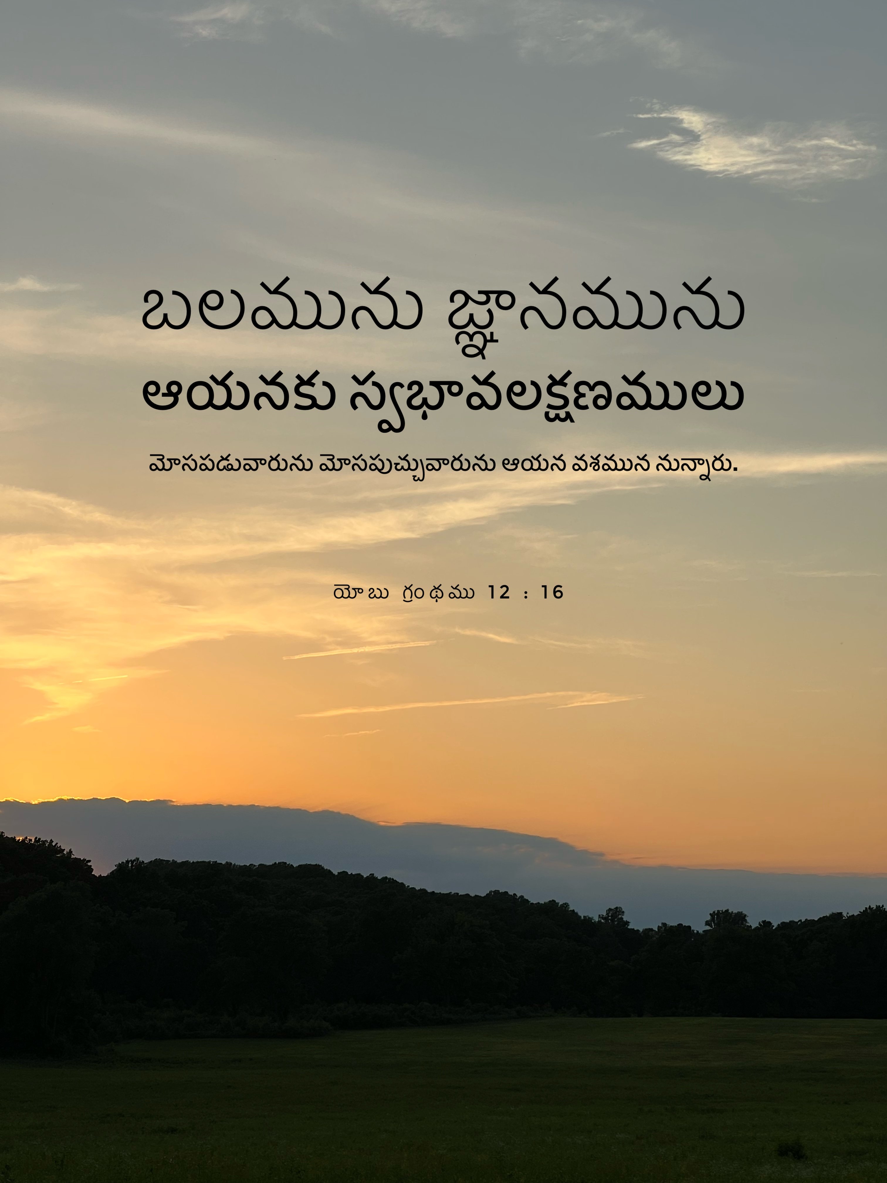 Job 12:16