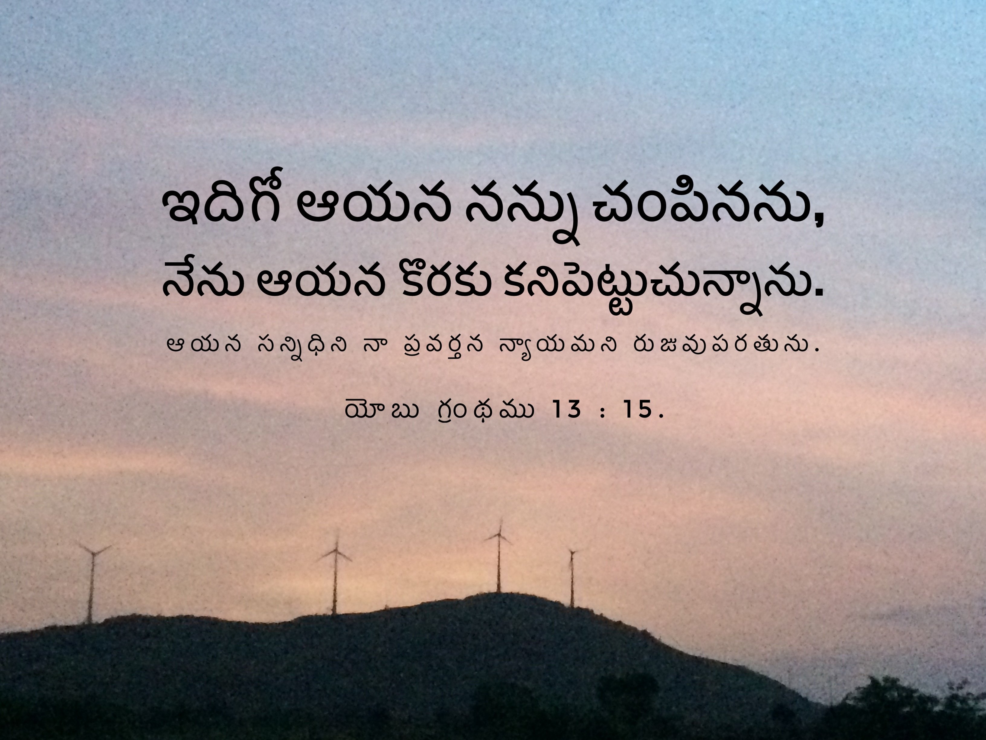 Job 13:15