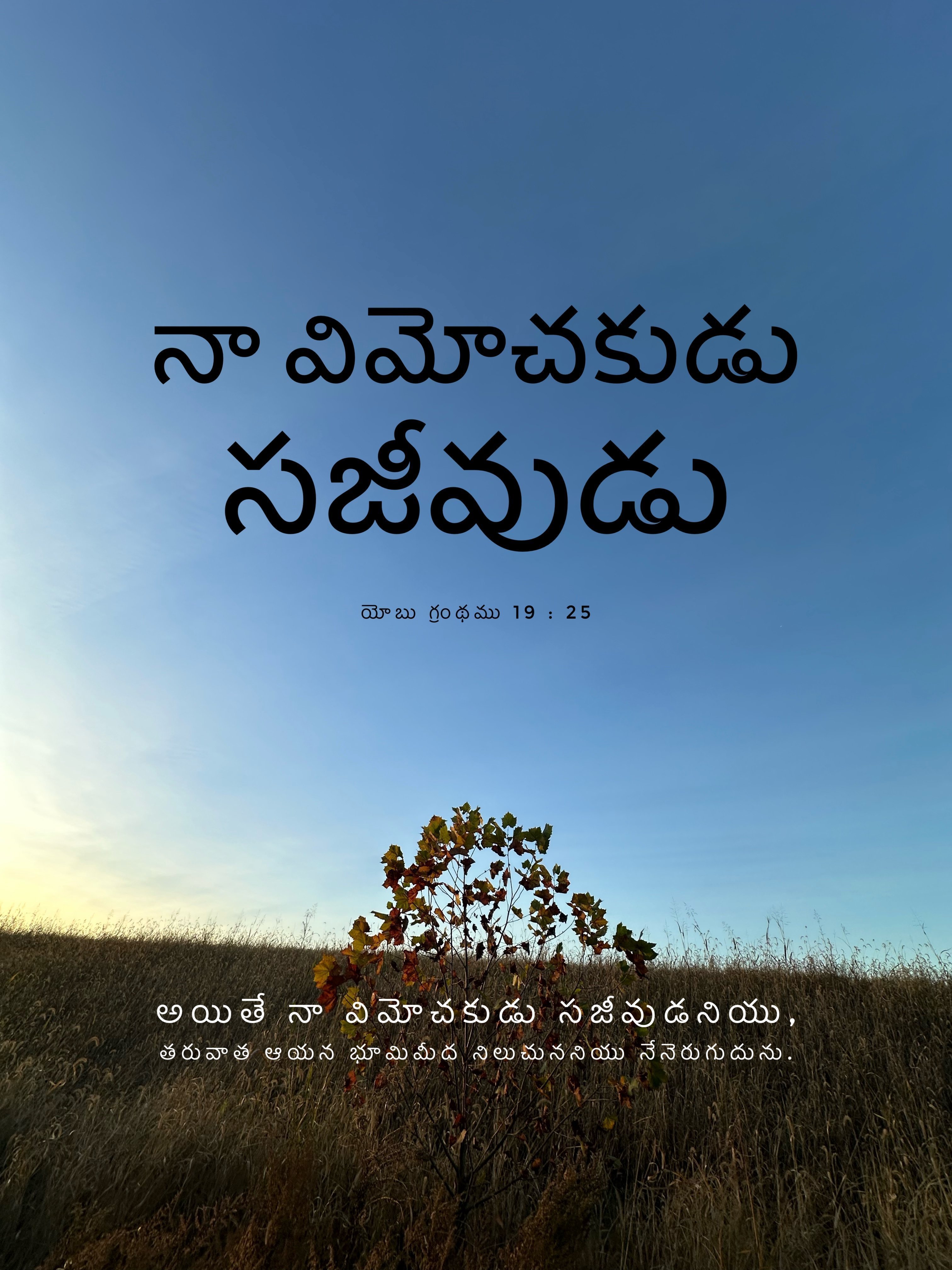 Job 19:25