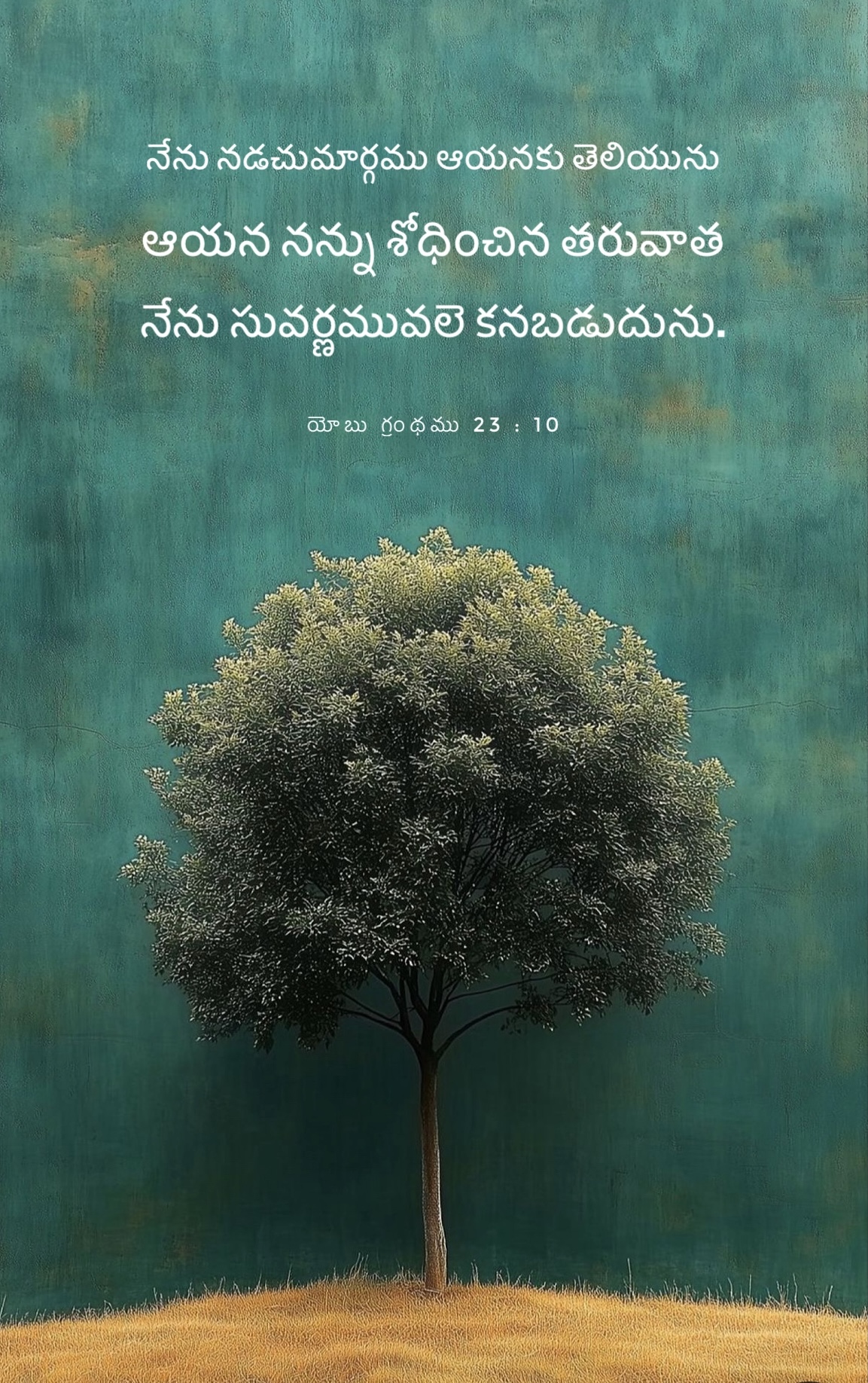 Job 23:10