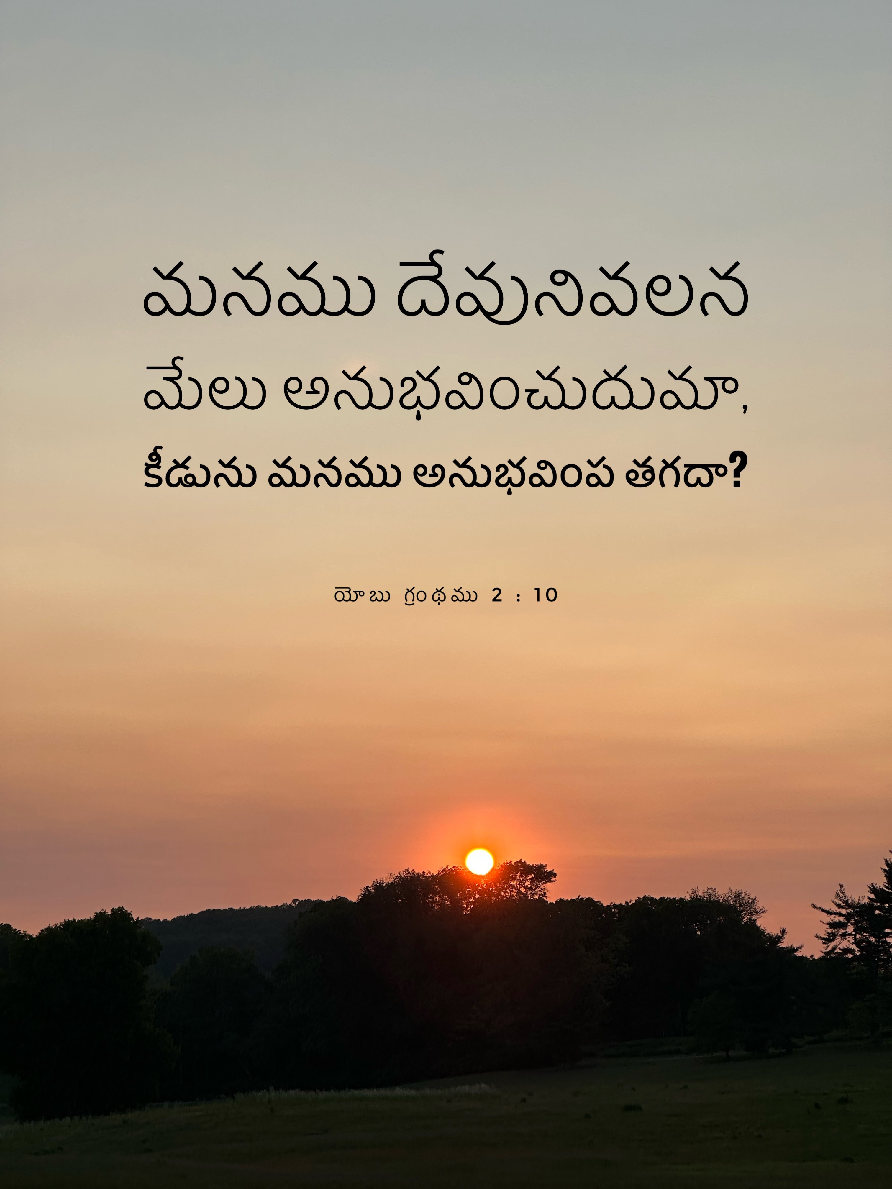 Job 2:10