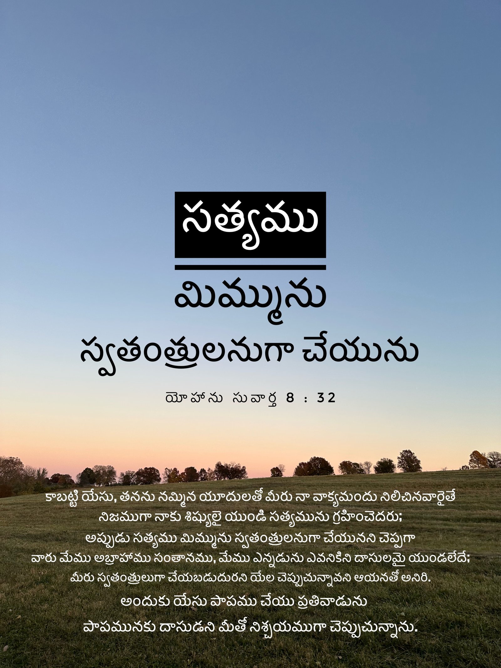 John 8:31-32