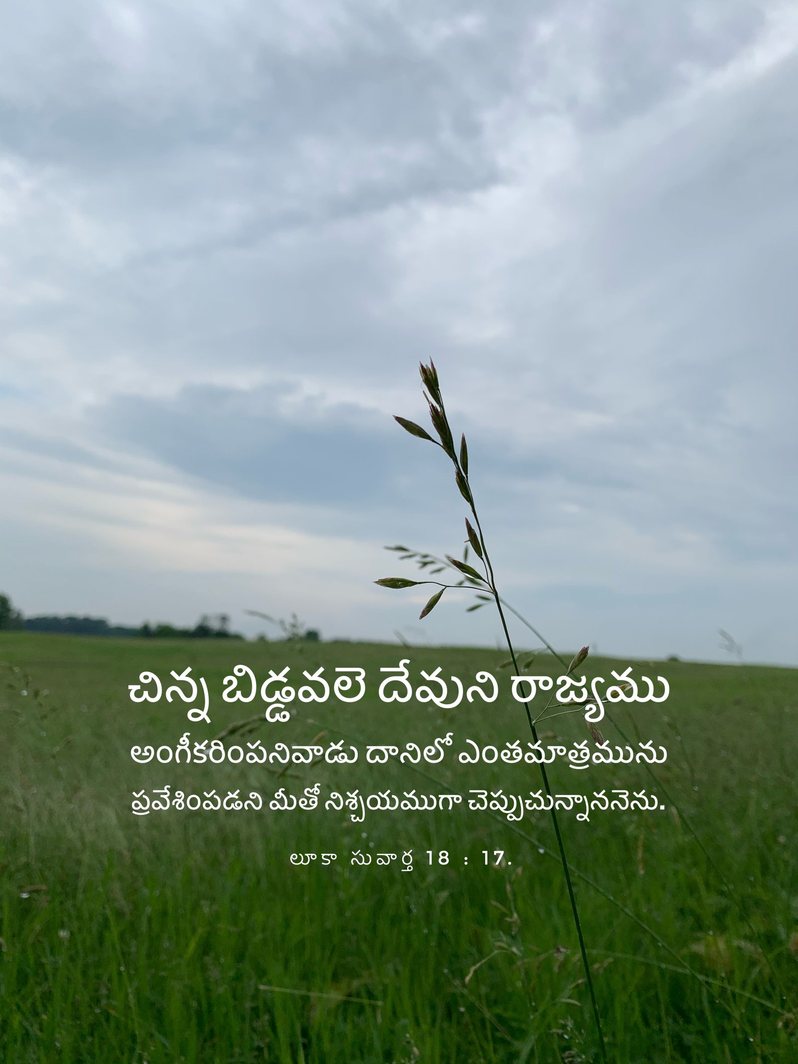 Luke 18:17
