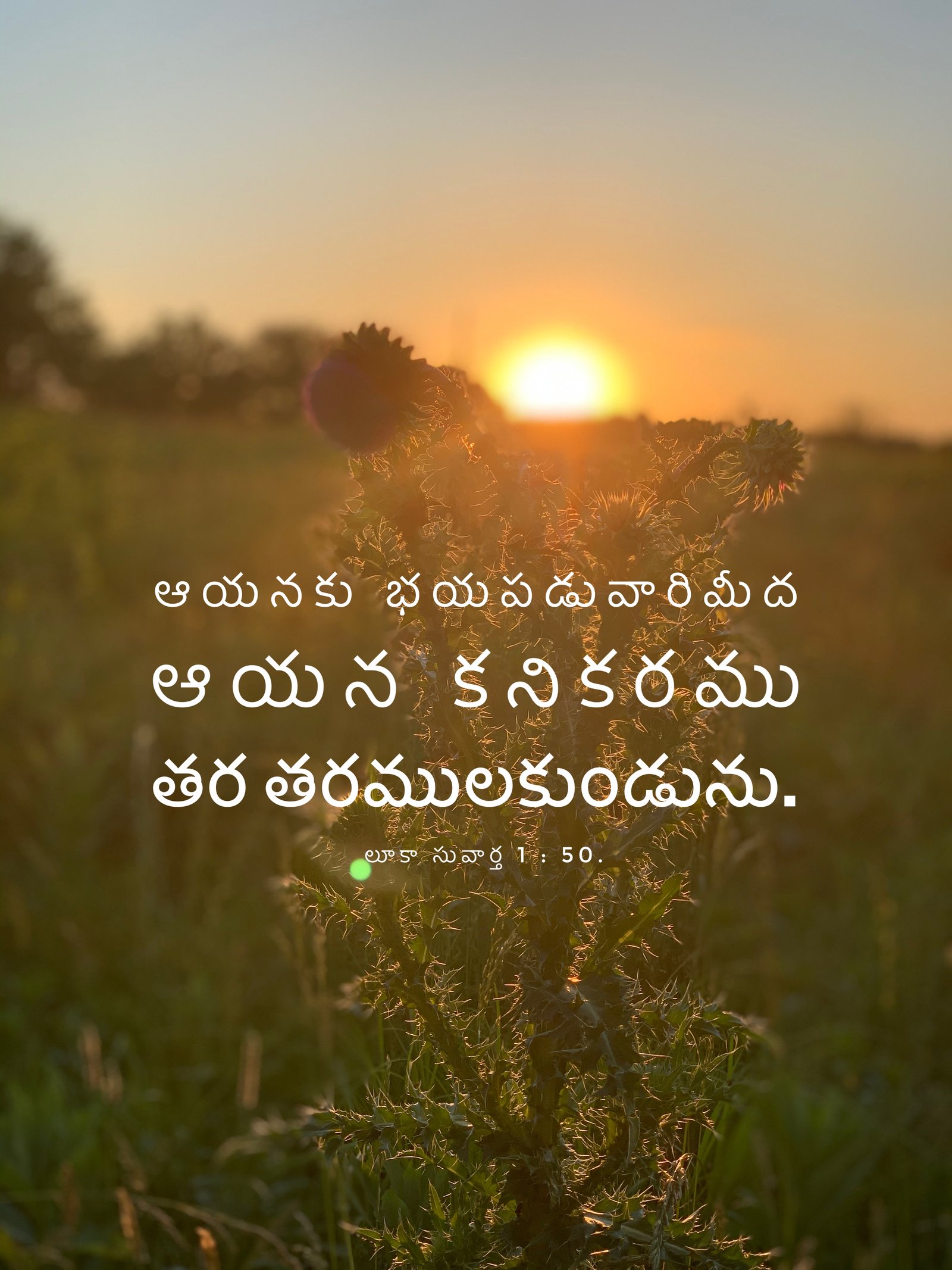 Luke 1:50