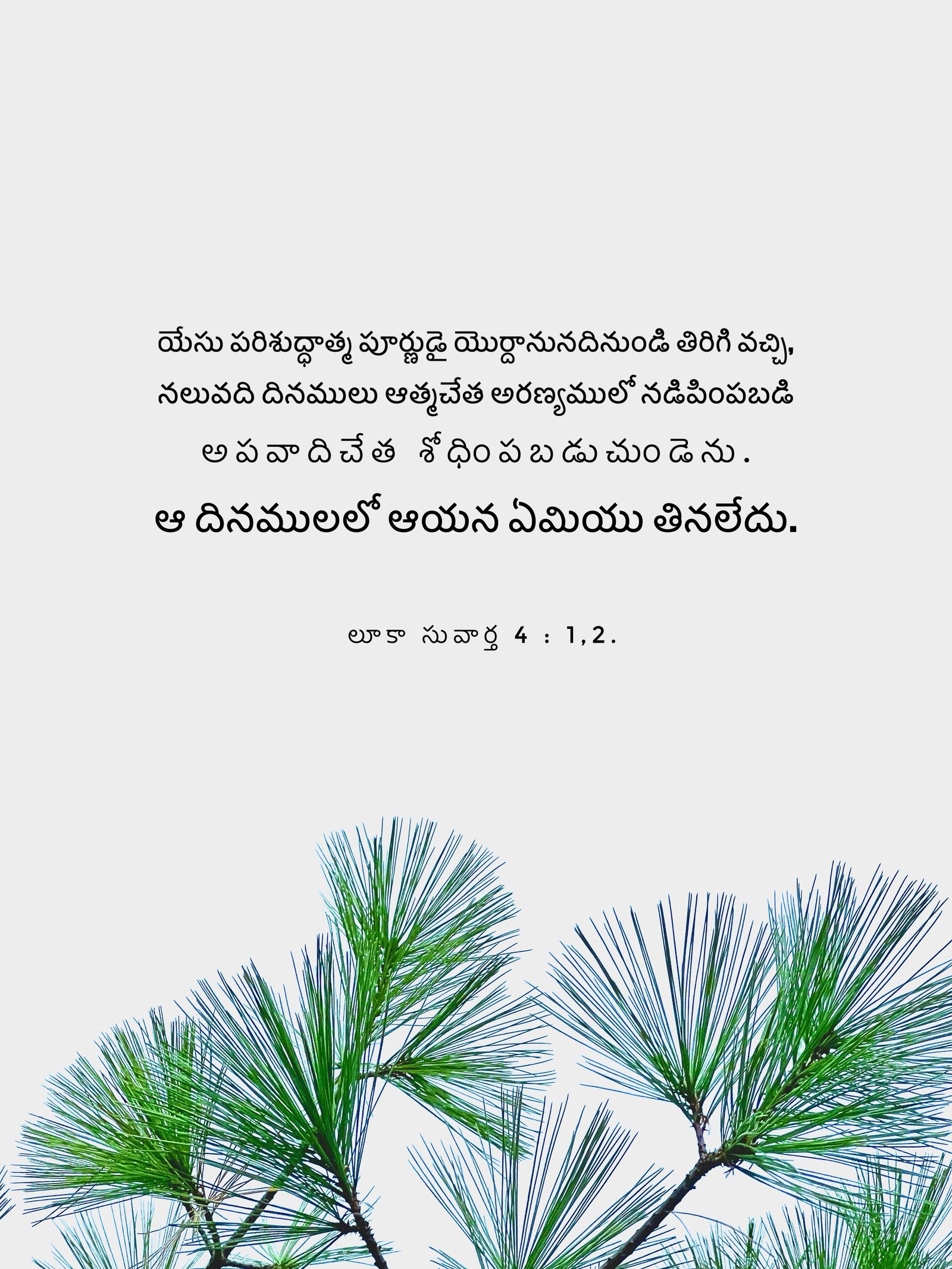 Luke 4:1,2