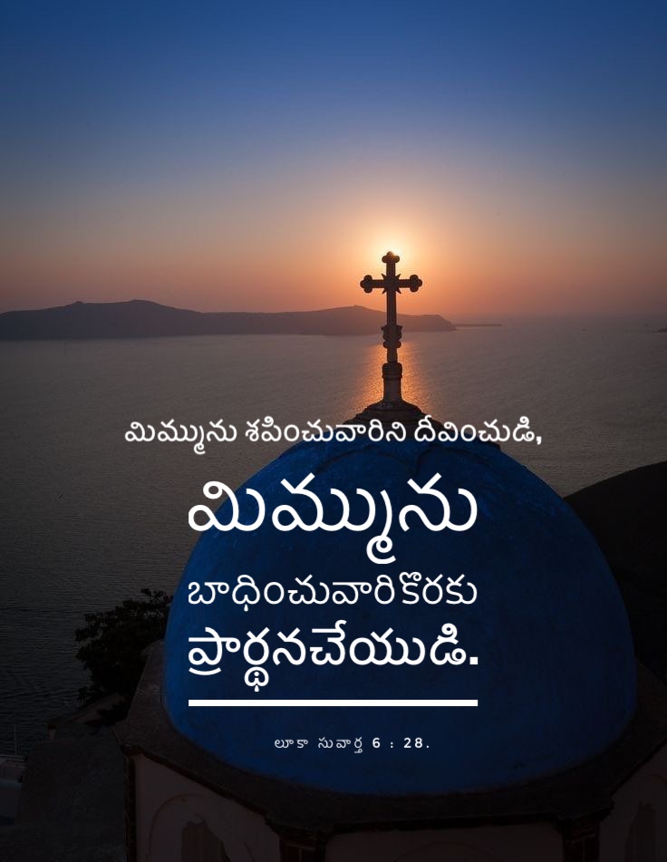 Luke 6:28