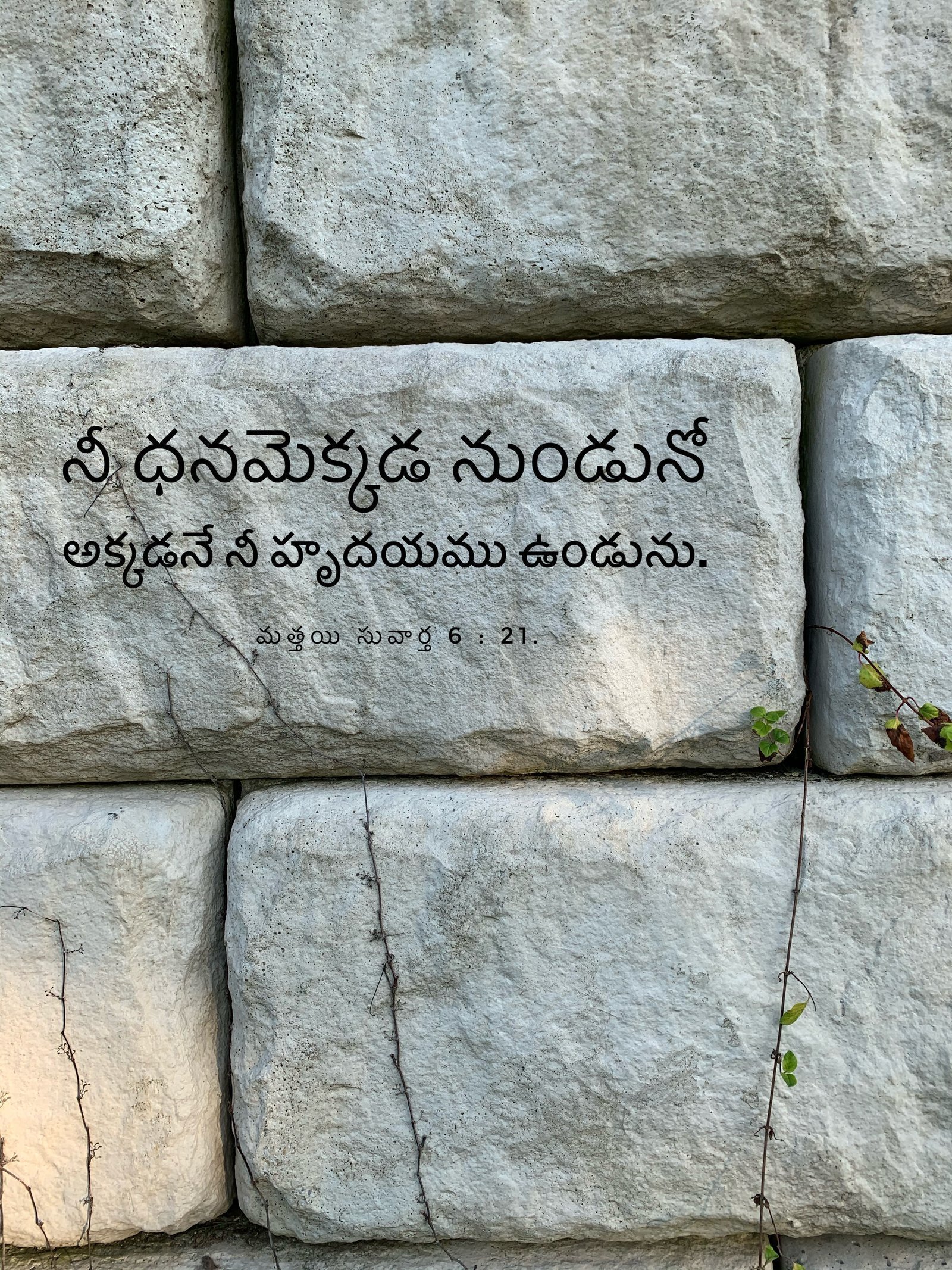 Matthew 6:21