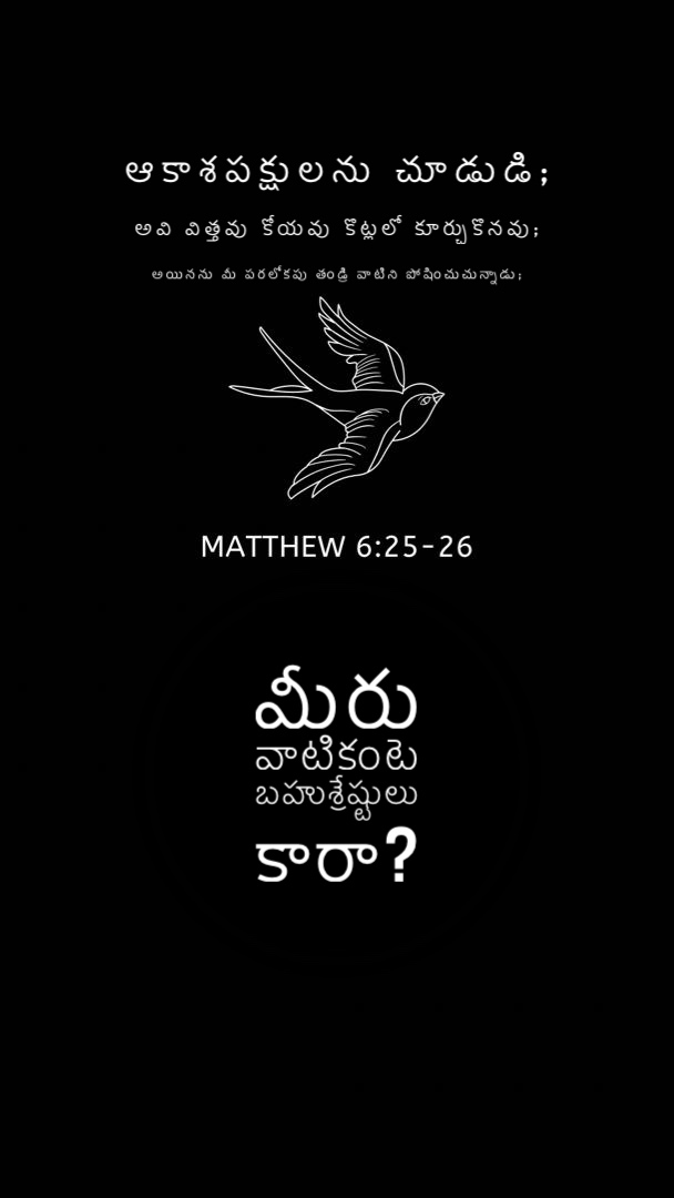 Matthew 6:25-26