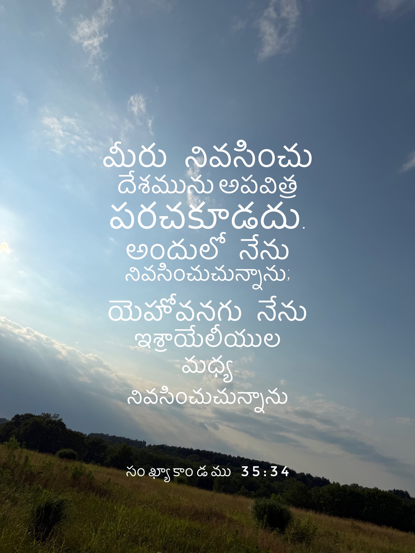 Numbers 35:34