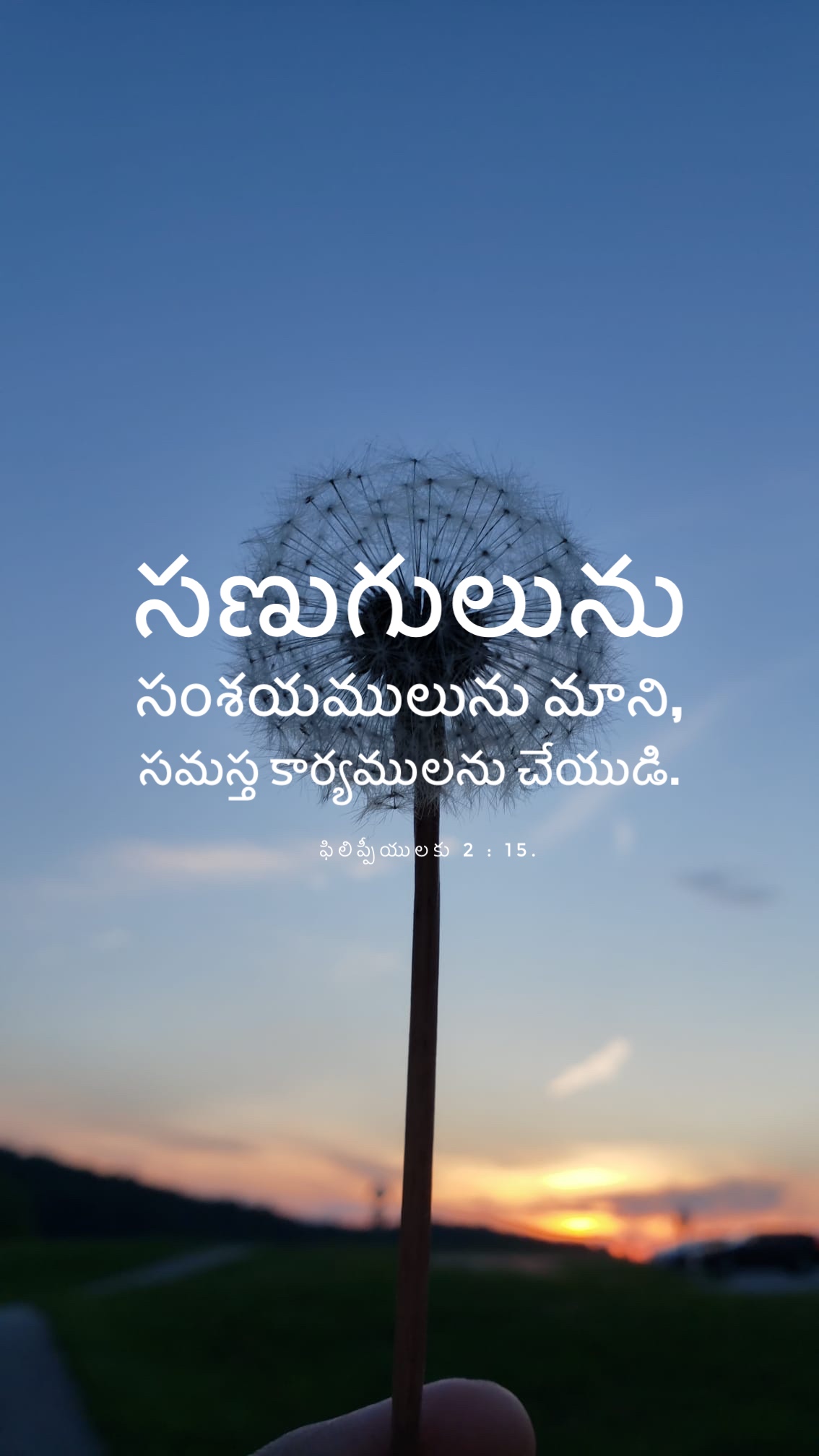 Philippians 2:15