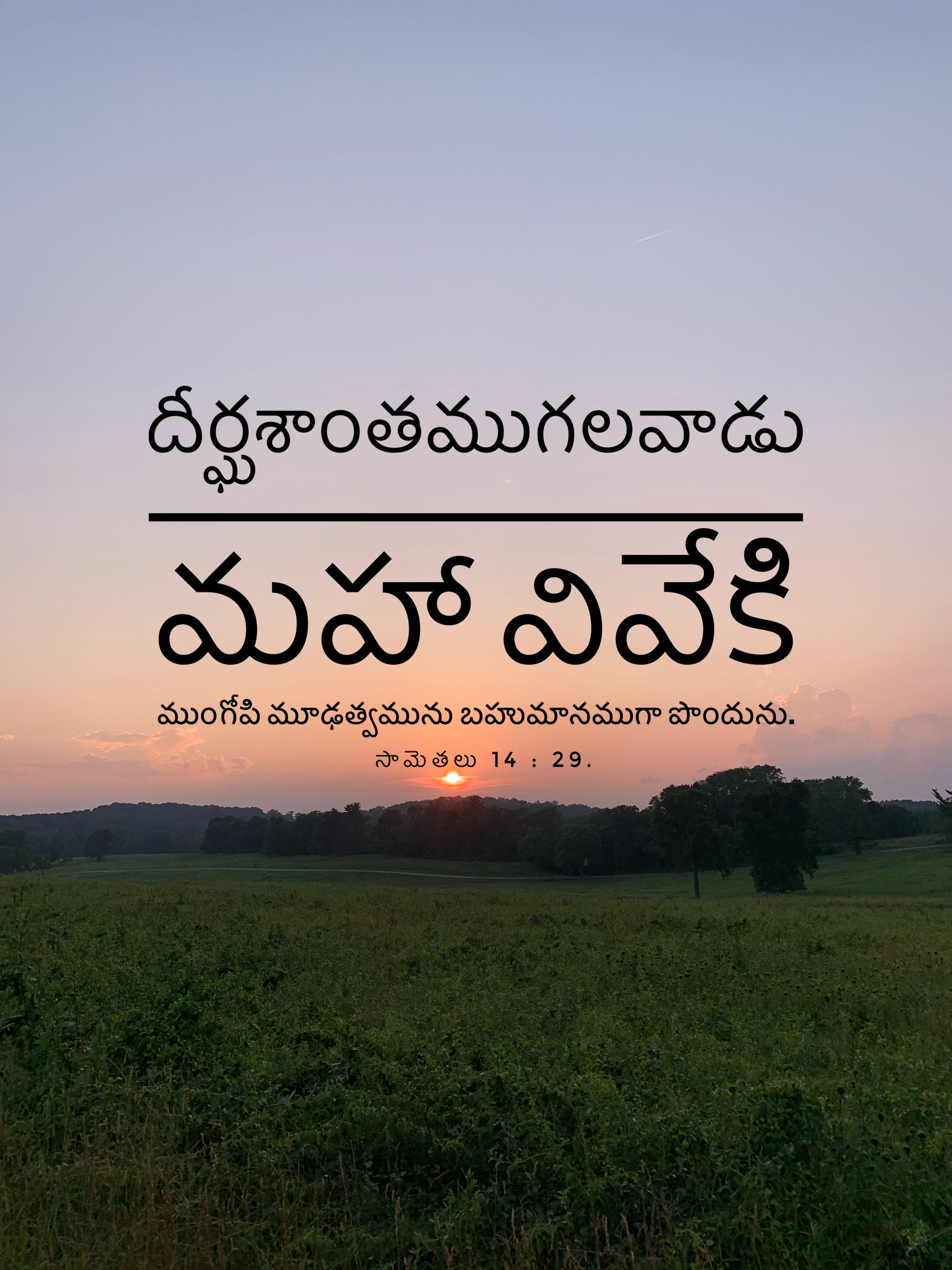 Proverbs 14:29