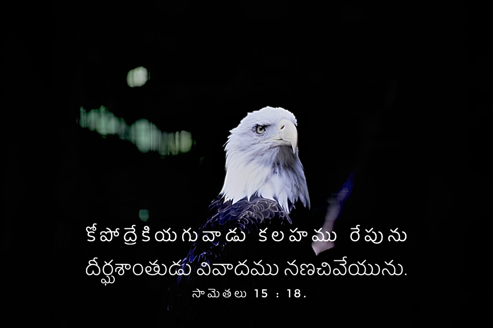 Proverbs 15:18