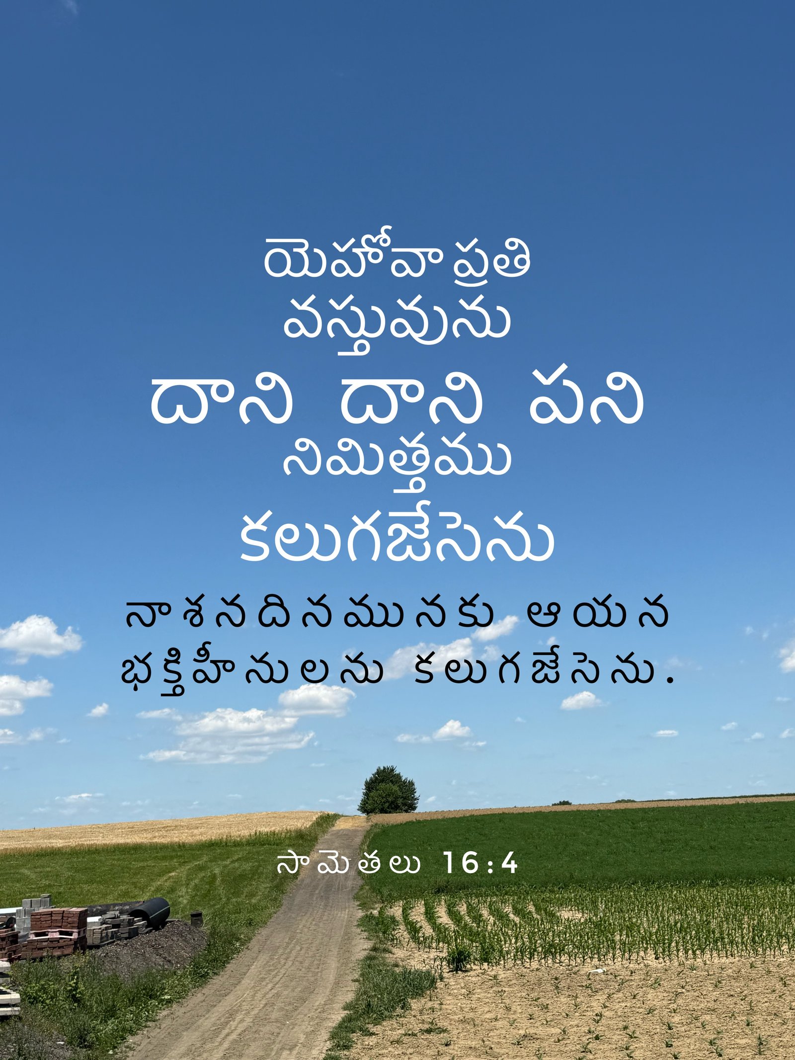 Proverbs 16:4