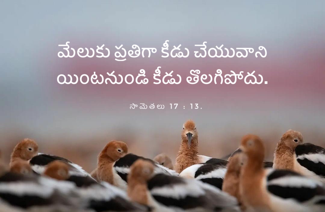 Proverbs 17:13