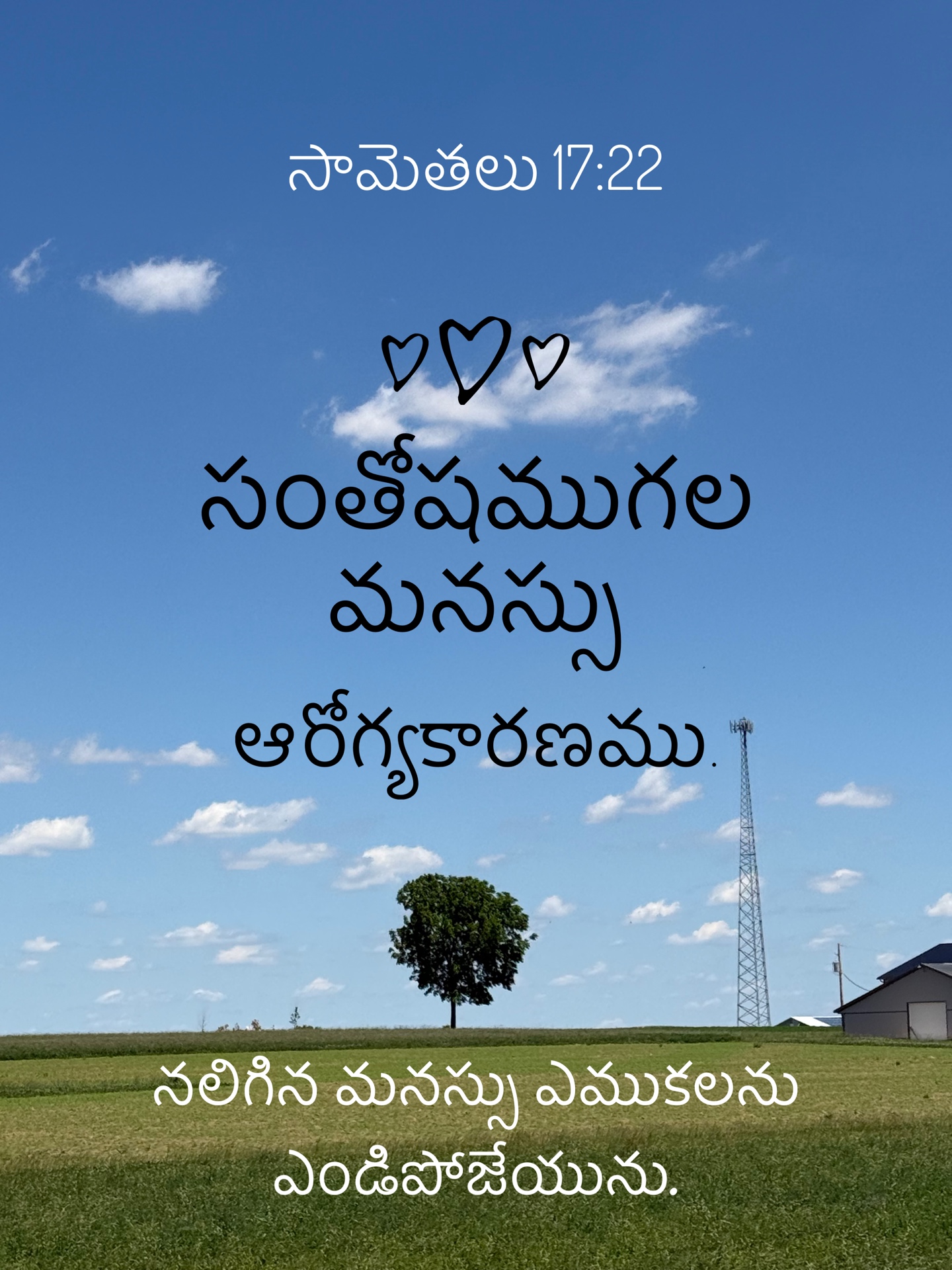 Proverbs 17:22