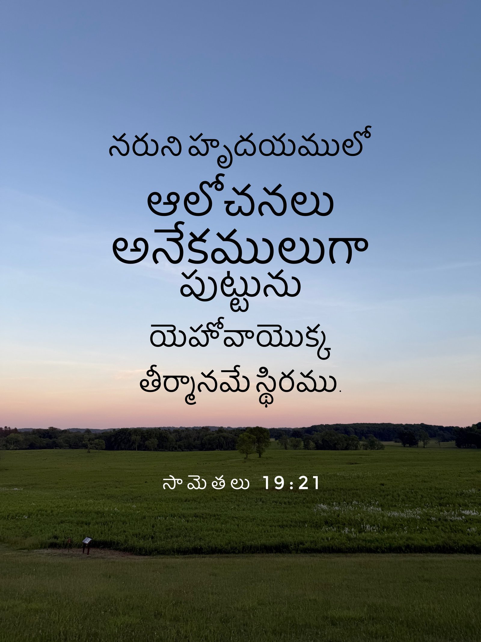 Proverbs 19:21