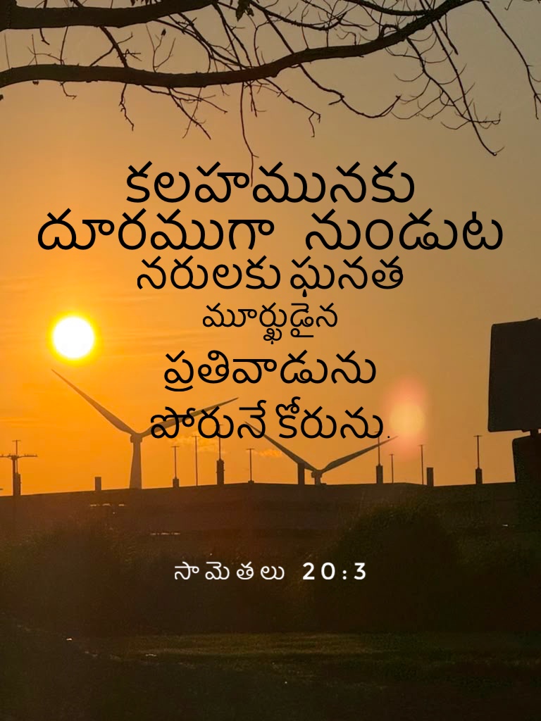 Proverbs 20:3