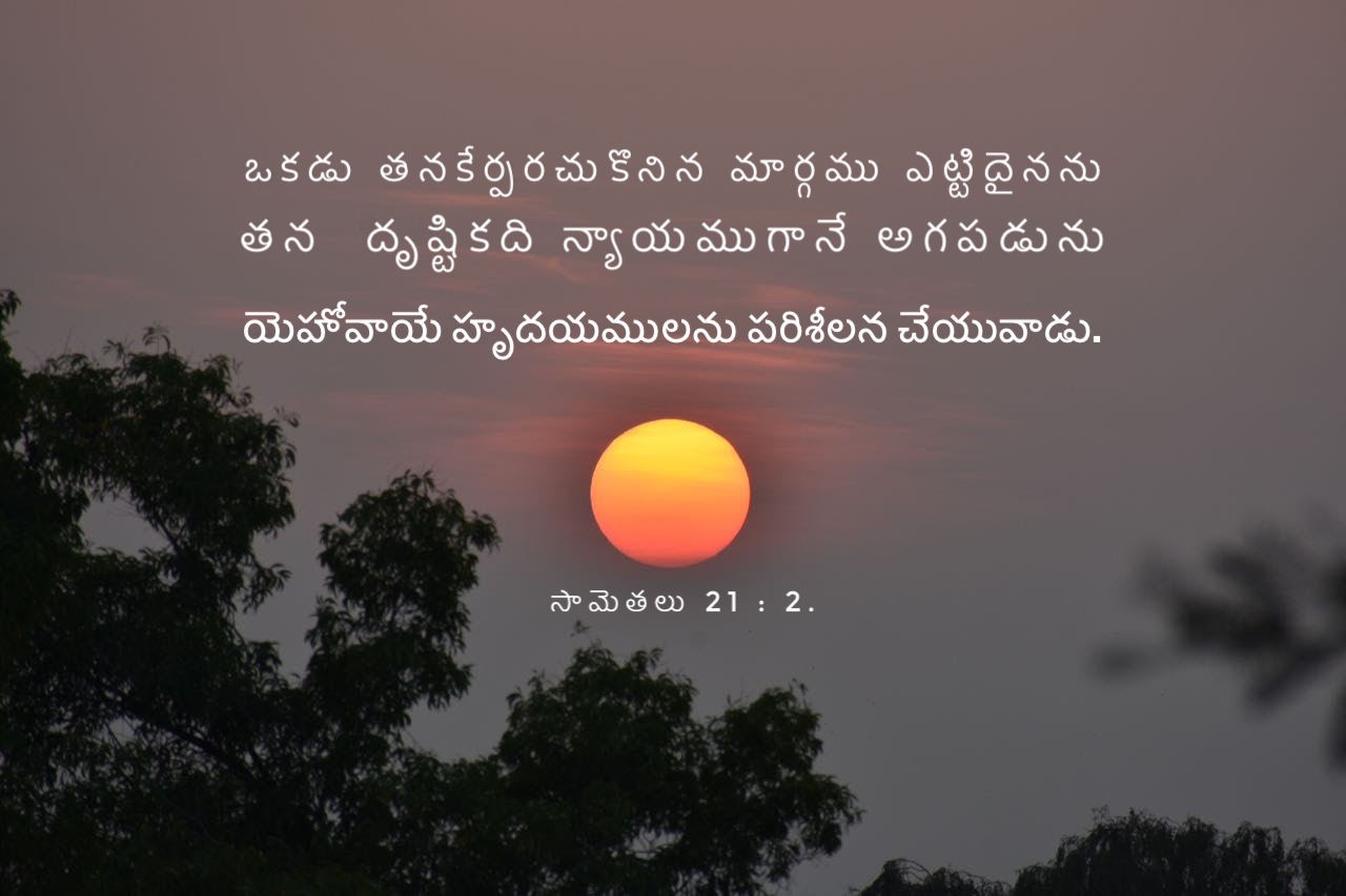 Proverbs 21:2