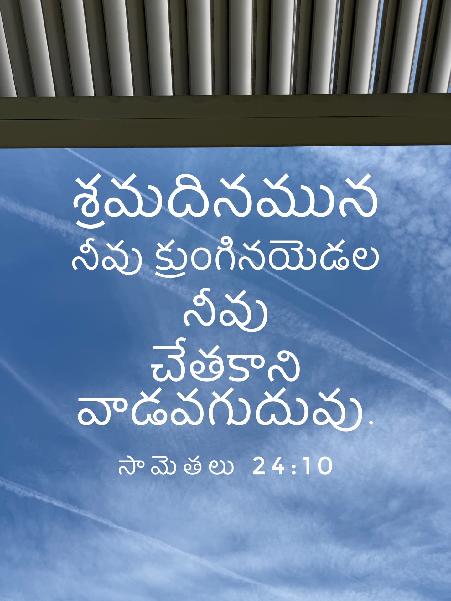 Proverbs 24:10