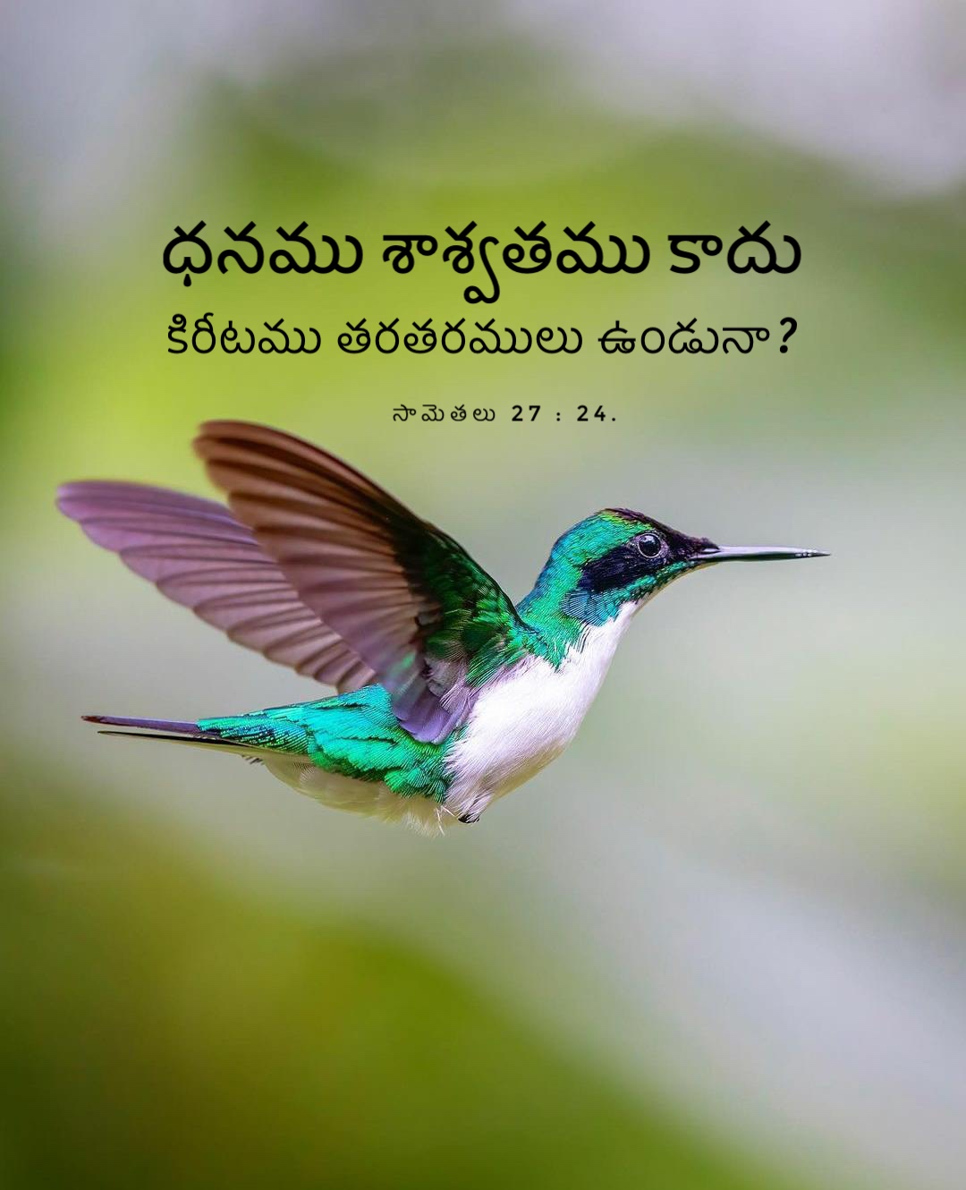 Proverbs 27:24