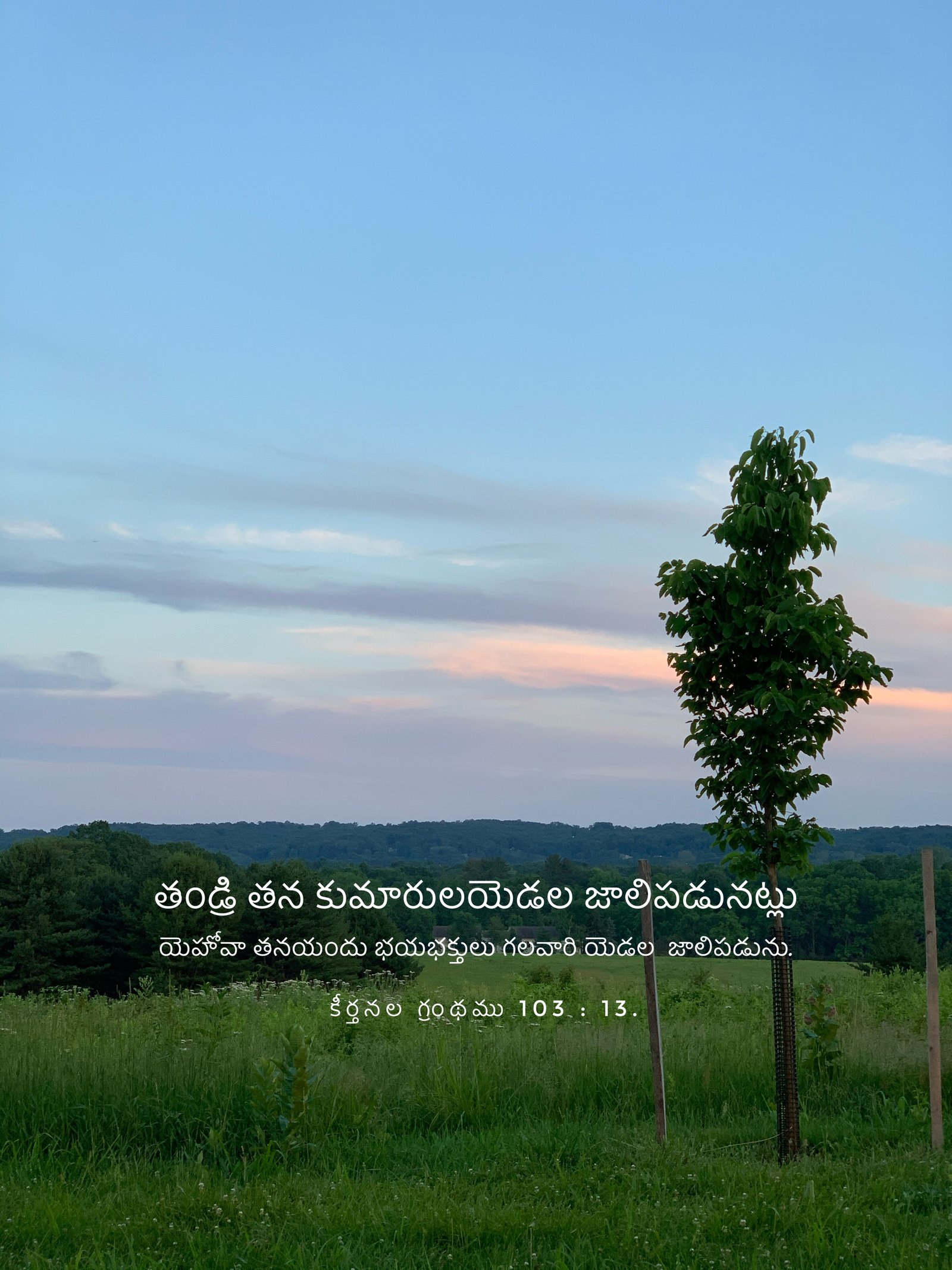Psalm 103:13