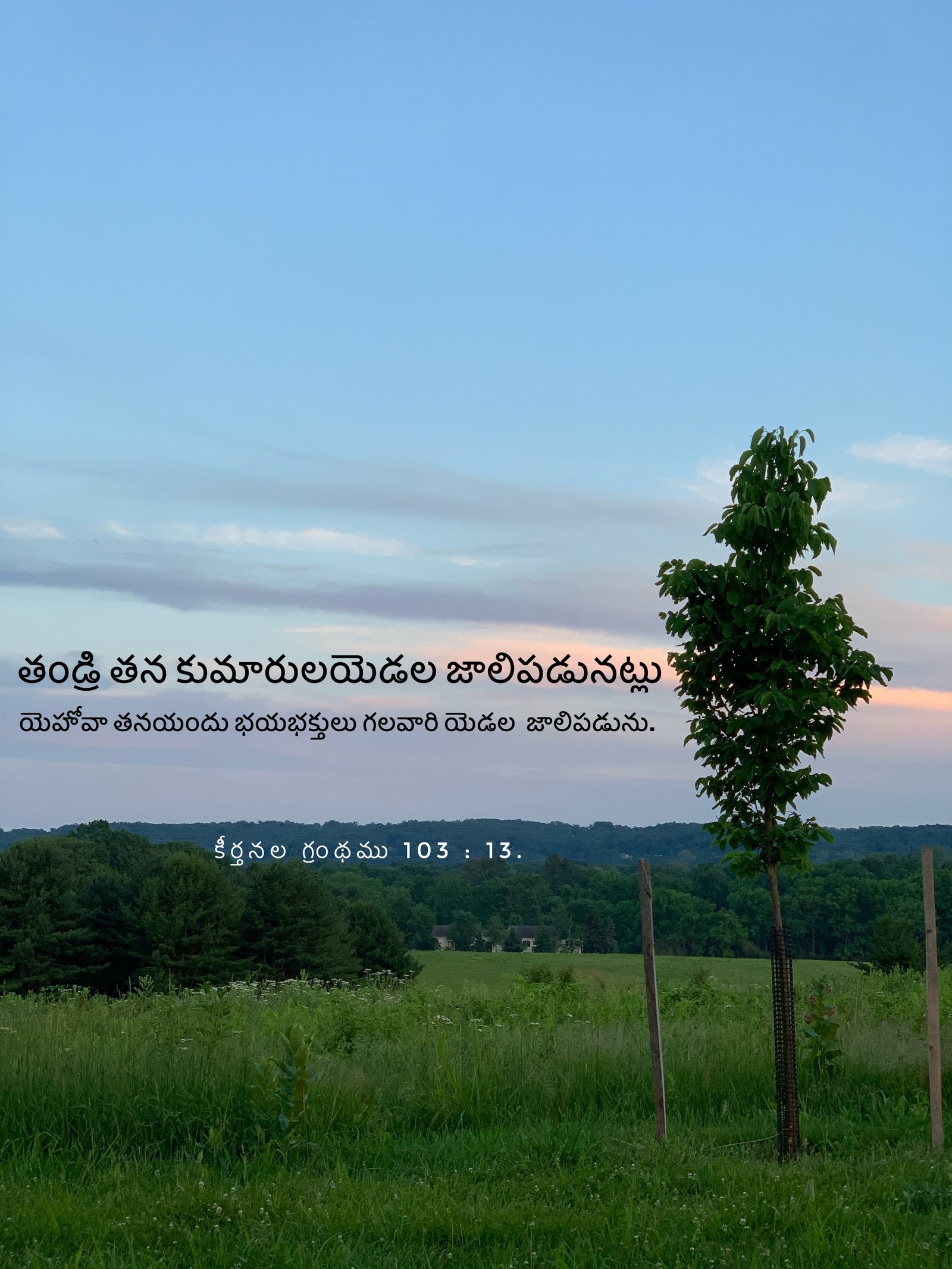 Psalm 103:13
