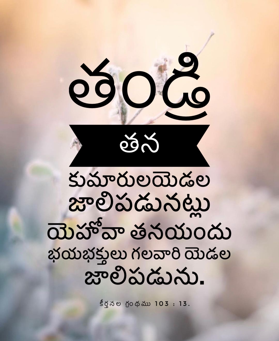 Psalm 103:13
