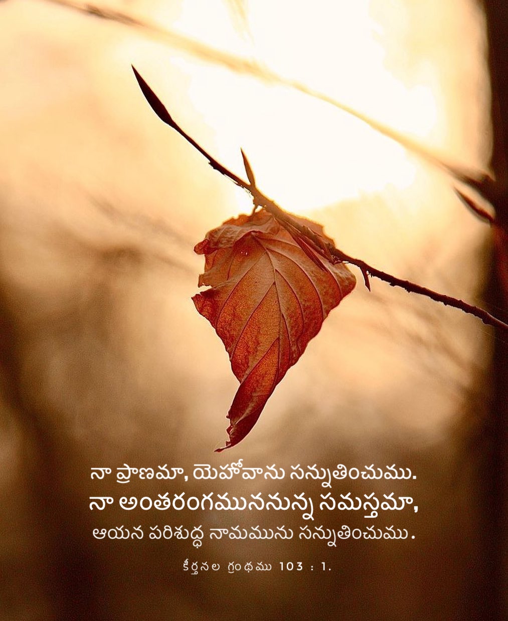 Psalm 103:1