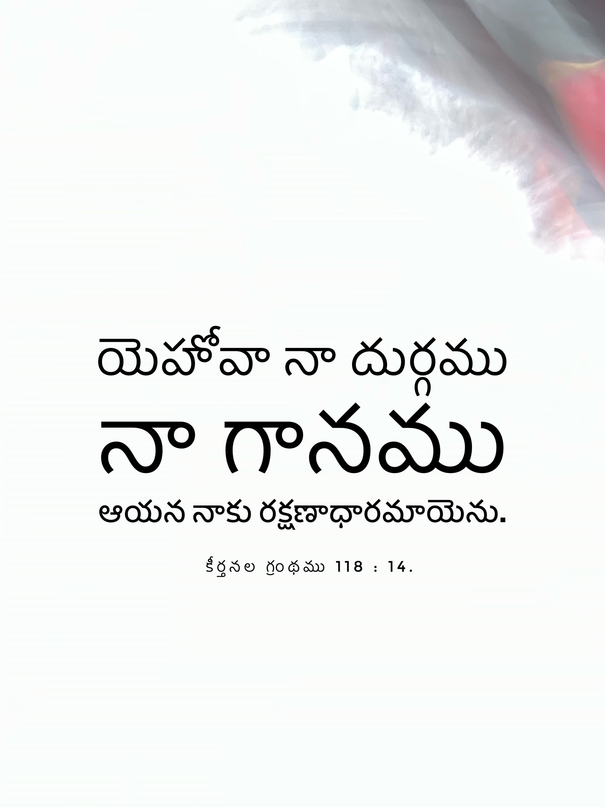 Psalm 118:14