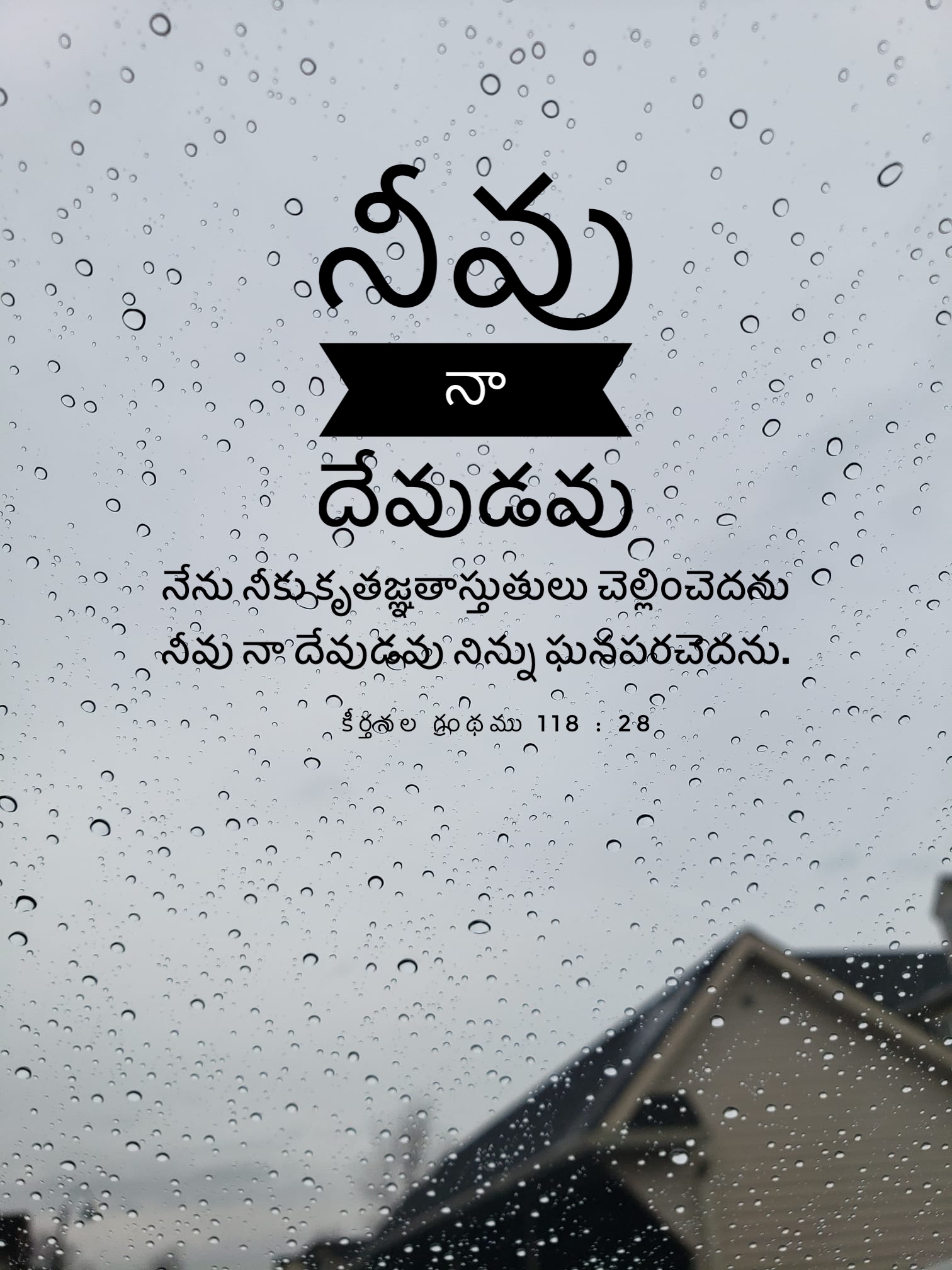 Psalm 118:28
