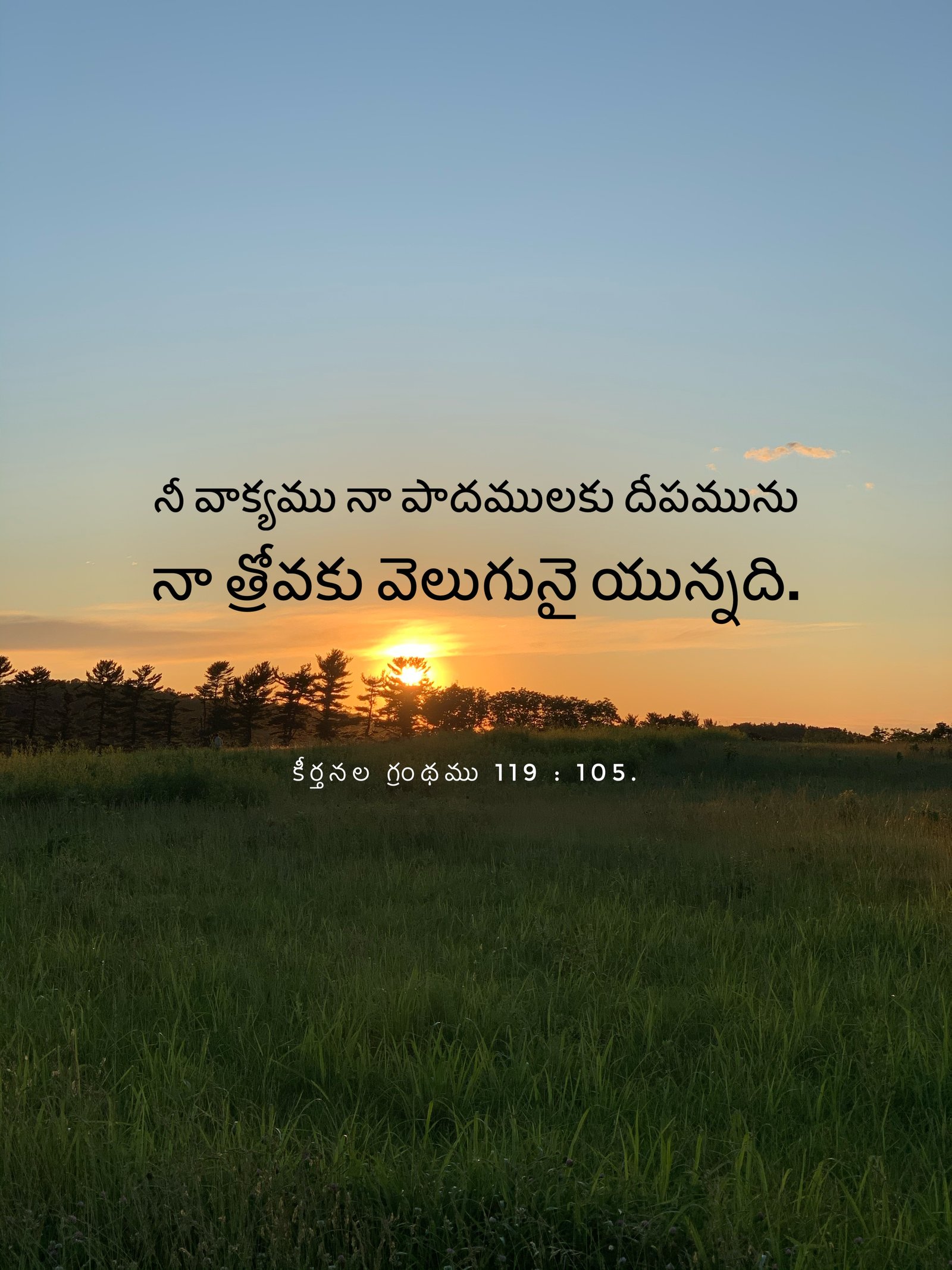 Psalm 119:105